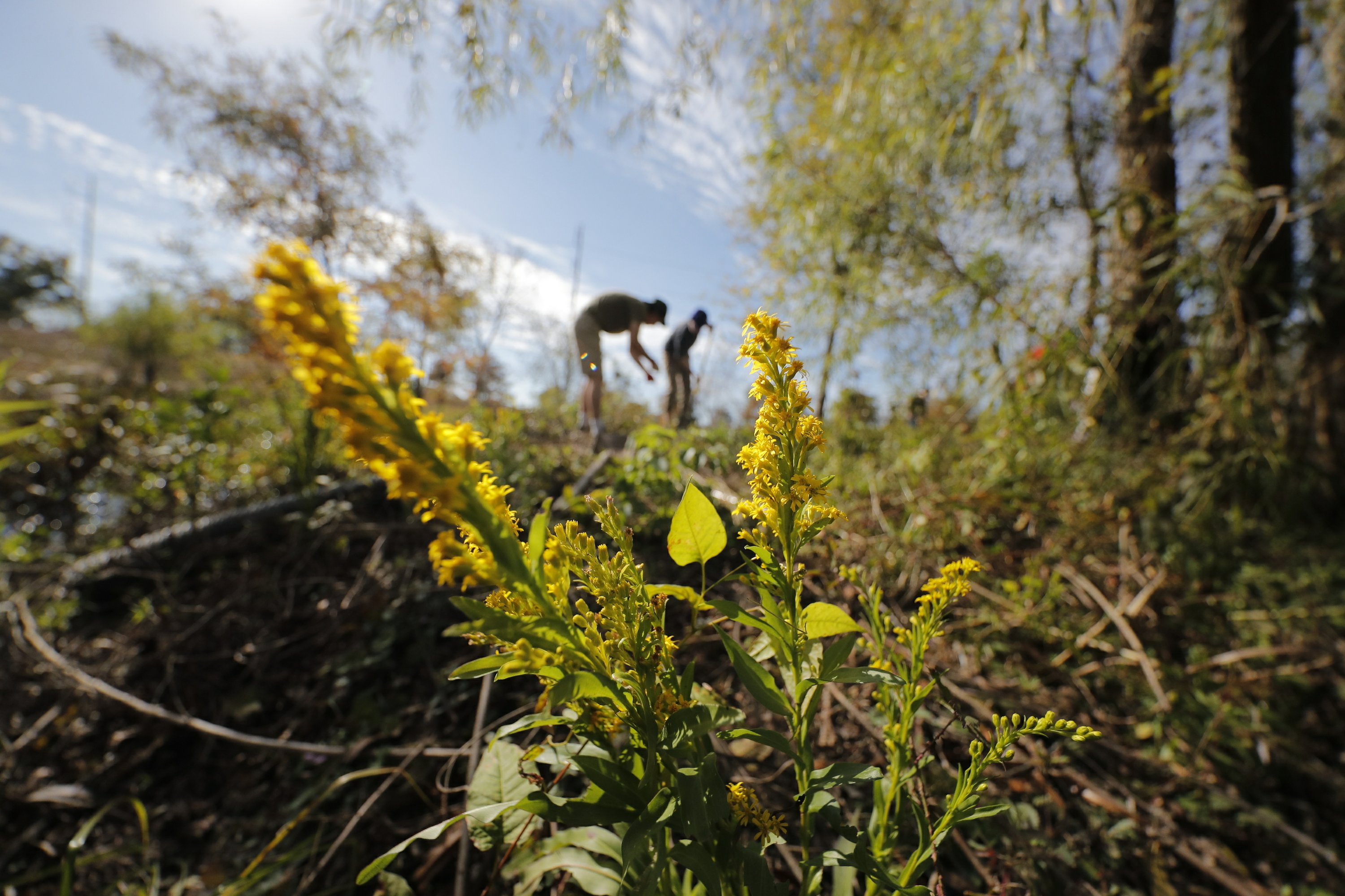 New high school puts focus on environment, climate change - Associated Press