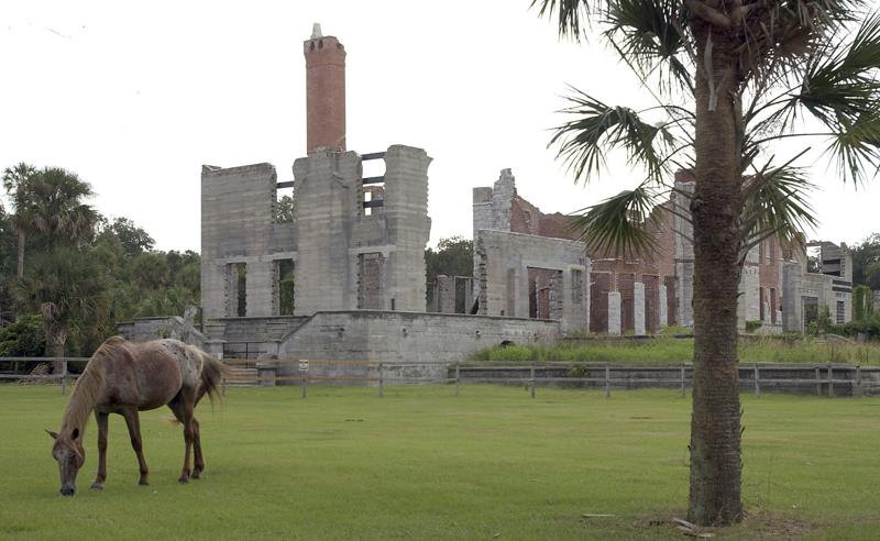 FILE - In this Sept. 20, 2008, file photo, a wild horse grazes next to the ruins of the Dungeness mansion in the south end of Cumberland Island in Camden County, Georgia National Seashore.  A federal agency is once again delaying a final decision on whether to permit construction of a launchpad for commercial rockets on the Georgia coast. The Federal Aviation Administration said Wednesday, Sept. 29, 2021,  it now plans to issue a decision on Spaceport Camden by Nov. 3.   (AP Photo/Chris Viola, File)
