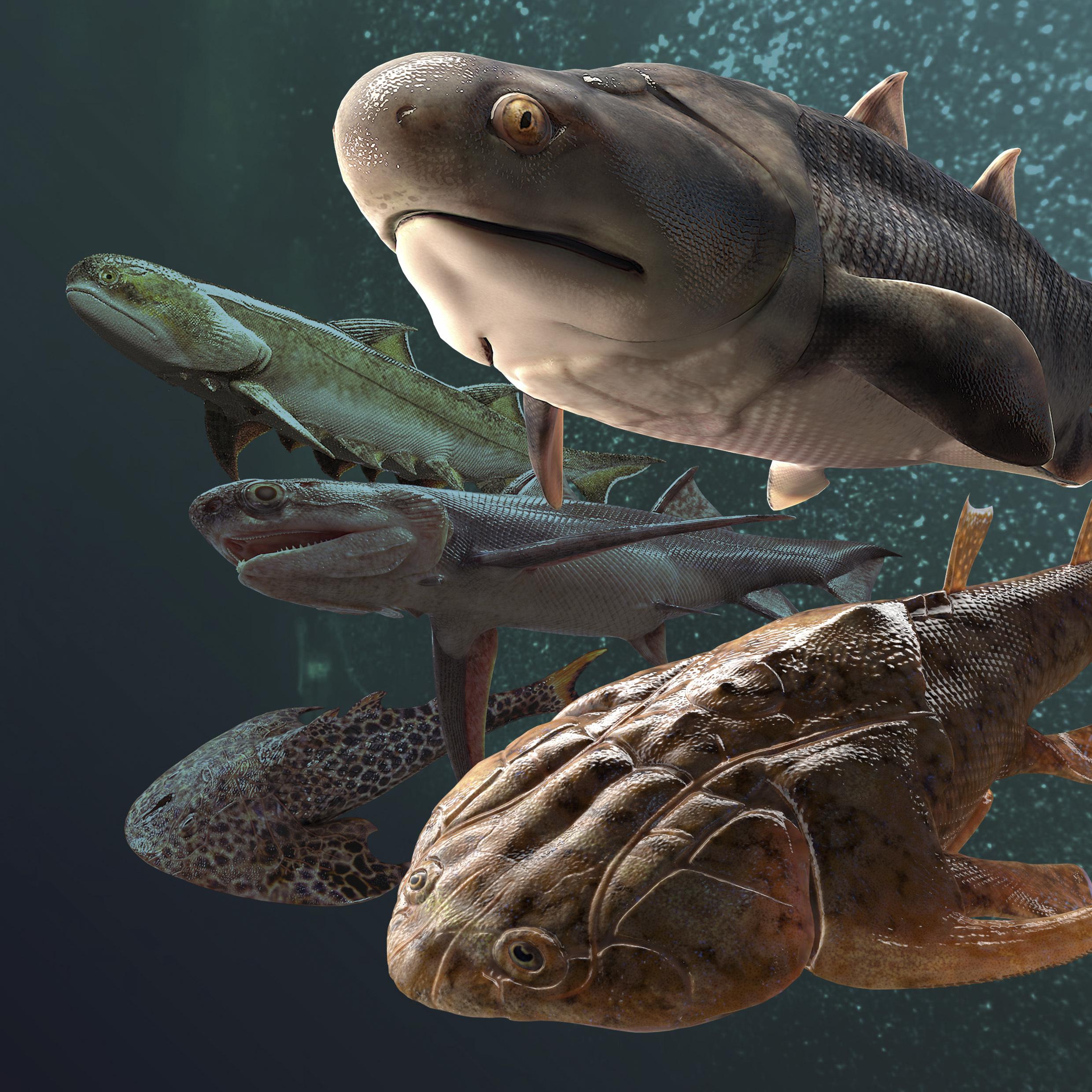 Fish fossil catch from China includes oldest teeth ever | AP News