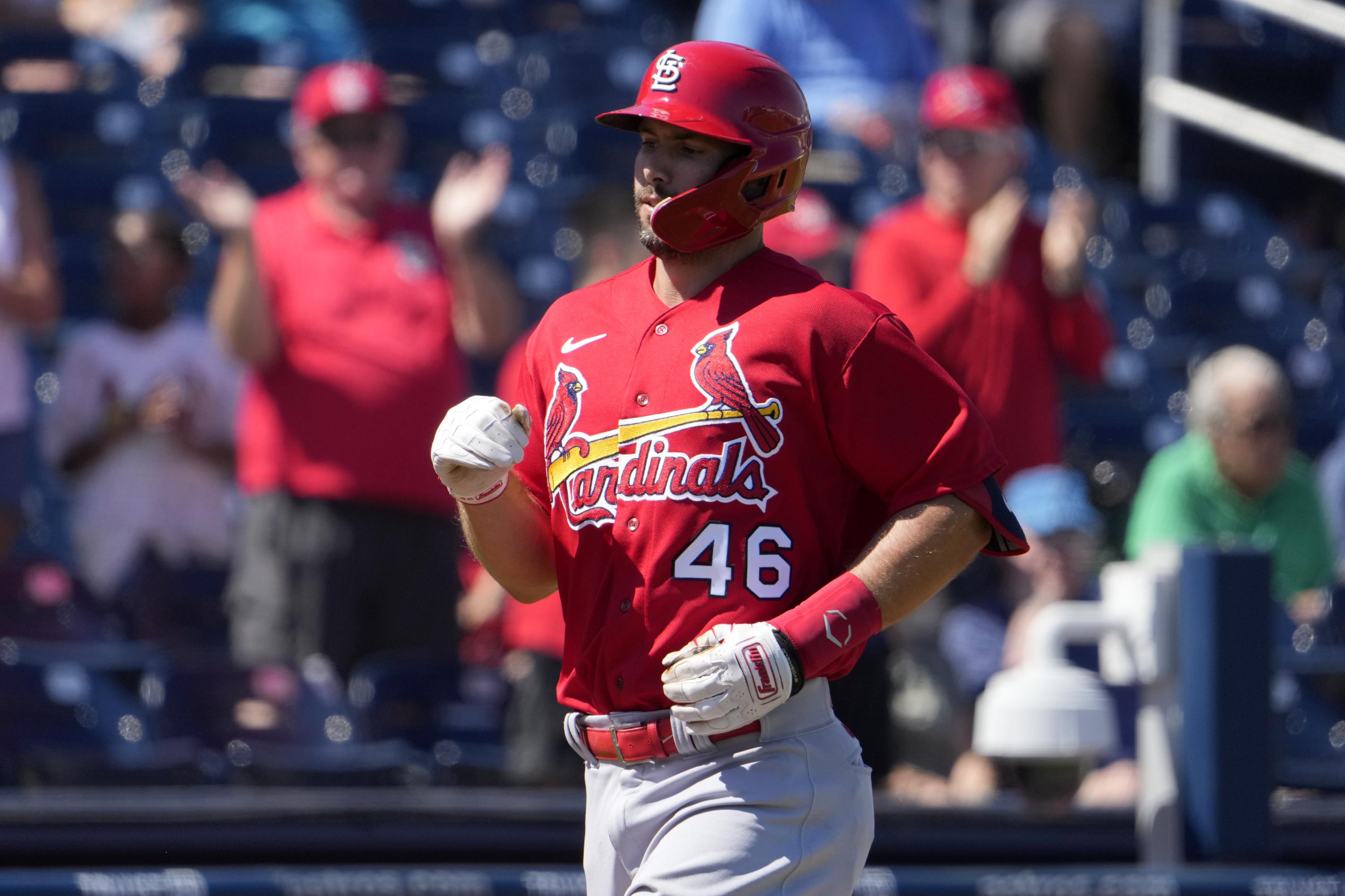 Data Driven Top 12 St. Louis Cardinals Prospects, by Jacob