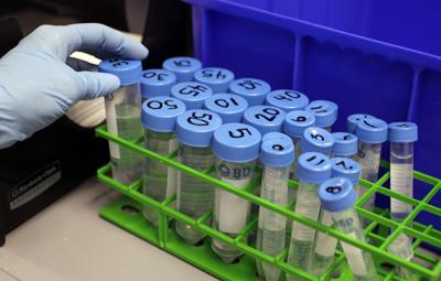 ARCHIVO - En esta foto de archivo del 16 de marzo de 2012, un investigador trabaja en un laboratorio de células madre en la Universidad de Stanford en Palo Alto, California. (AP Foto/Paul Sakuma, File)