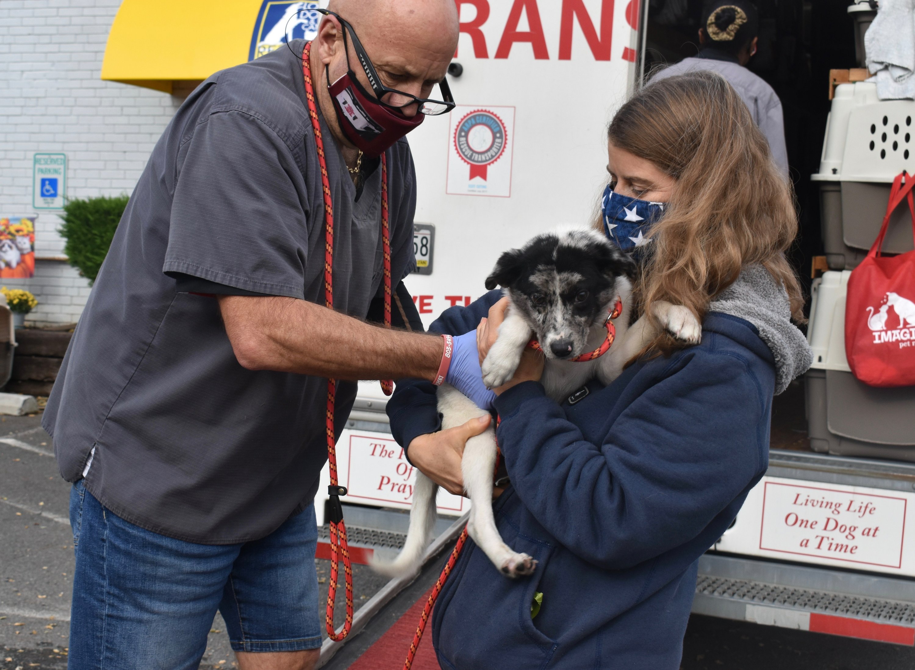 Puppy Pipeline Runs From Georgia Northward To Adoptive Homes