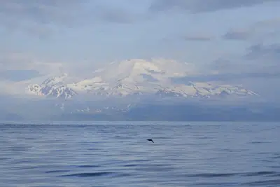 Esta foto proporcionada por el Observatorio de Volcanes de Alaska / Servicio Geológico de los Estados Unidos muestra el flanco este del volcán Takawangha cerca de Adak, Alaska, el 10 de junio de 2021. No uno, sino dos volcanes en la misma isla de Alaska están mostrando signos de disturbios. Un enjambre de terremotos que ocurren desde finales de febrero de 2023 se ha intensificado, una posible indicación de una erupción inminente. (Matt Loewen/Alaska Volcano Observatory/U.S. Geological Survey vía AP)