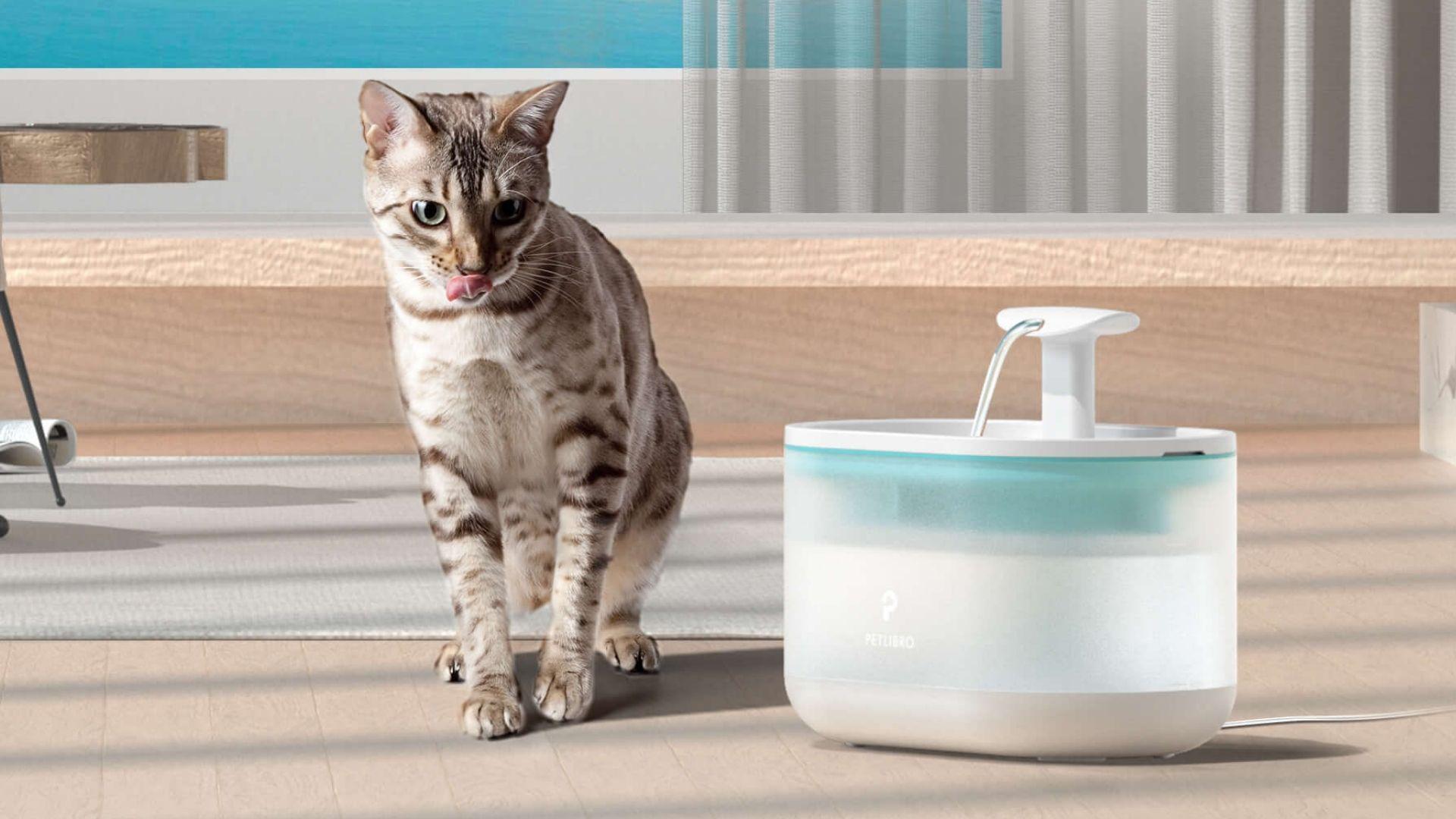 Petlibro to Launch a Capsule Automatic Water Fountain to Keep Pets