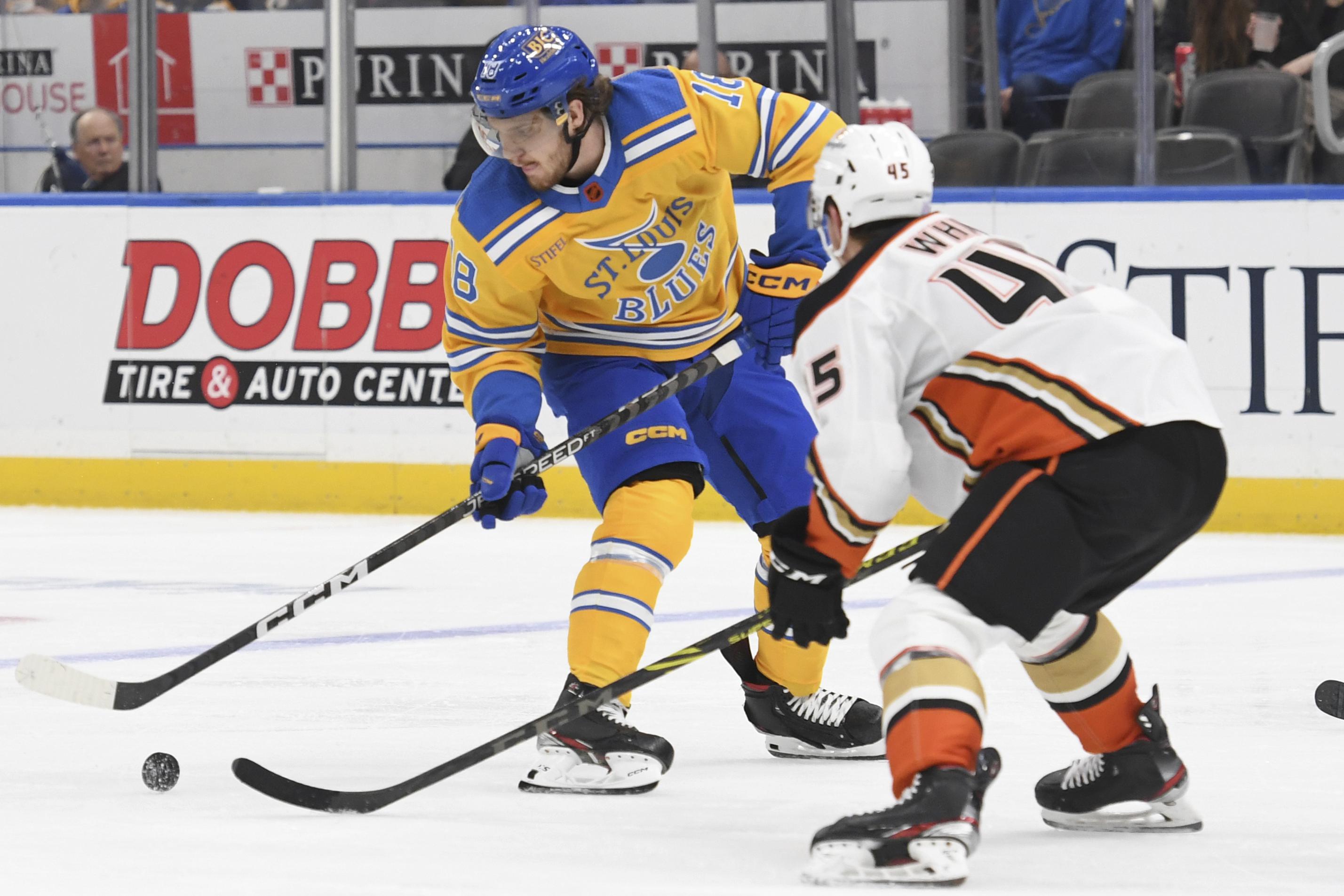 st louis blues hockey game