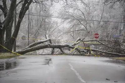 Una tormenta de hielo genera daños en el vecindario Milwood en Kalamazoo, Michigan, el jueves 23 de febrero de 2023. (Rodney Coleman-Robinson/MLive.com/Kalamazoo Gazette vía AP)