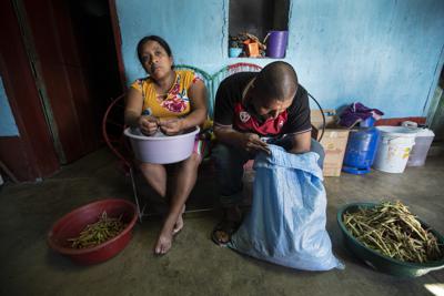Alvina Jerónimo Pérez y su marido Aníbal García pelan frijoles que cultivaron para preparar un almuerzo en su casa de Tizamarte, Guatemala, el miércoles 9 de diciembre de 2020. Jerónimo hizo un intento fallido de emigrar a Estados Unidos el año pasado, en parte parapagar un préstamo por ampliar su casa de bloques de concreto de una sola planta, construida por Aníbal en un terreno heredado de los bisabuelos de Jerónimo. (AP Foto/Moisés Castillo)