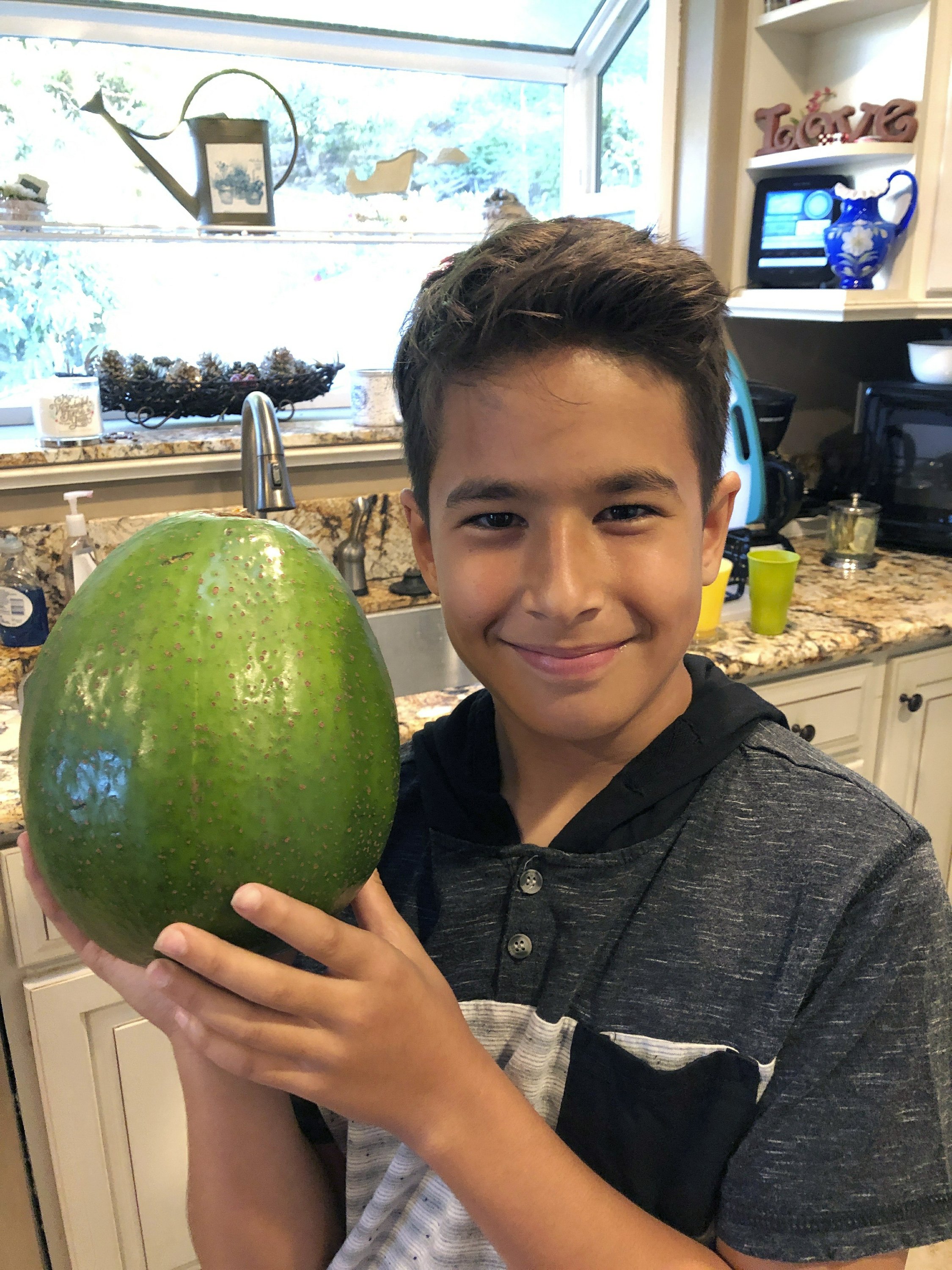 Private Avocado Scandal Rocks The World! - ugu9cl1