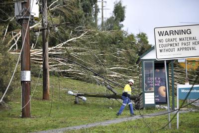 La foto muestra árboles y cables eléctricos caídos en Lilydale, Melbourne, Australia, jueves 10 de junio de 2021. Vientos y lluvias fuertes han provocado inundaciones en el sureste de Australia, donde hay gente atrapada en sus casas y vehículos. Más de 200.000 viviendas carecen de electricidad. (James Ross/AAP Image via AP)