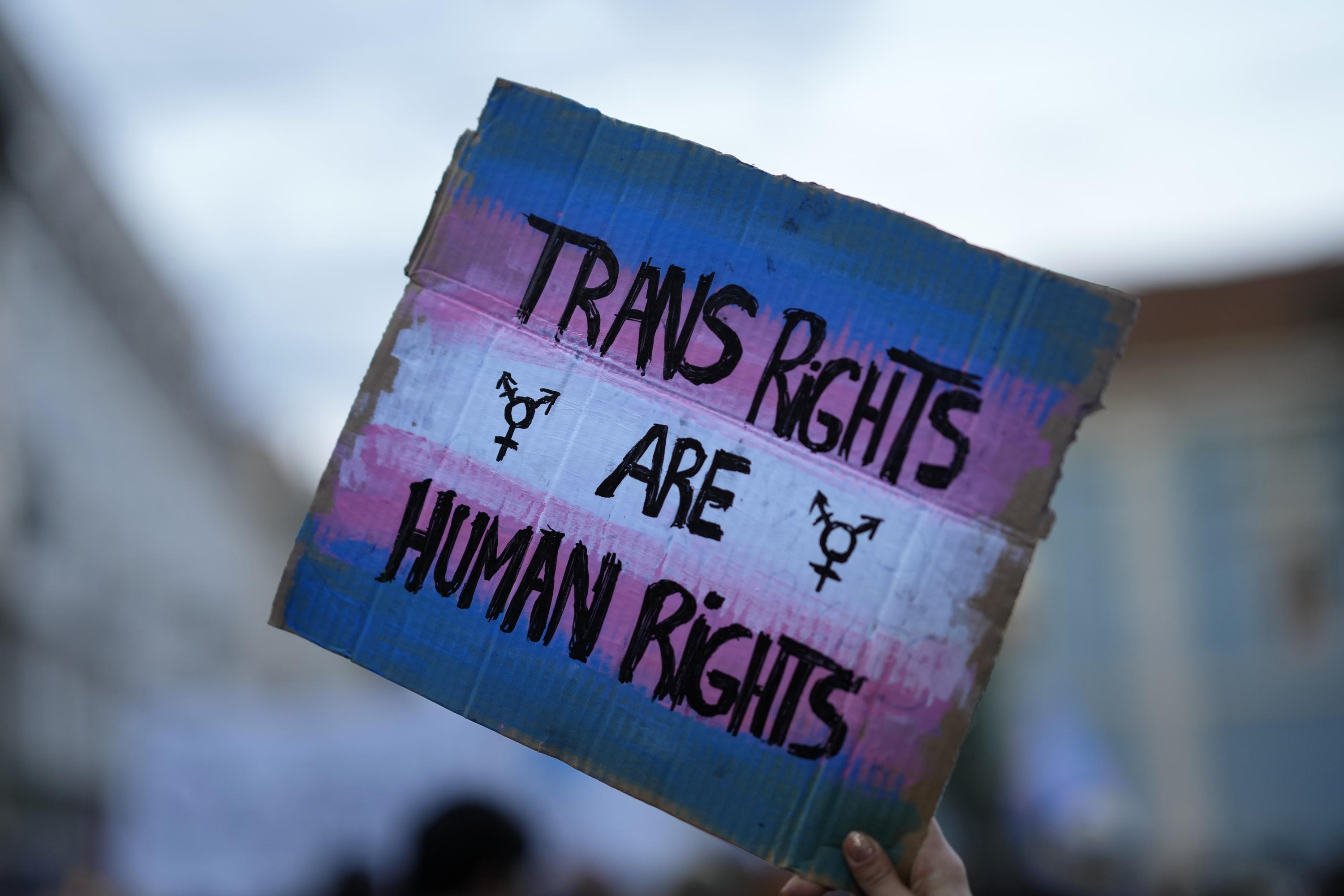 transgender research paper topics