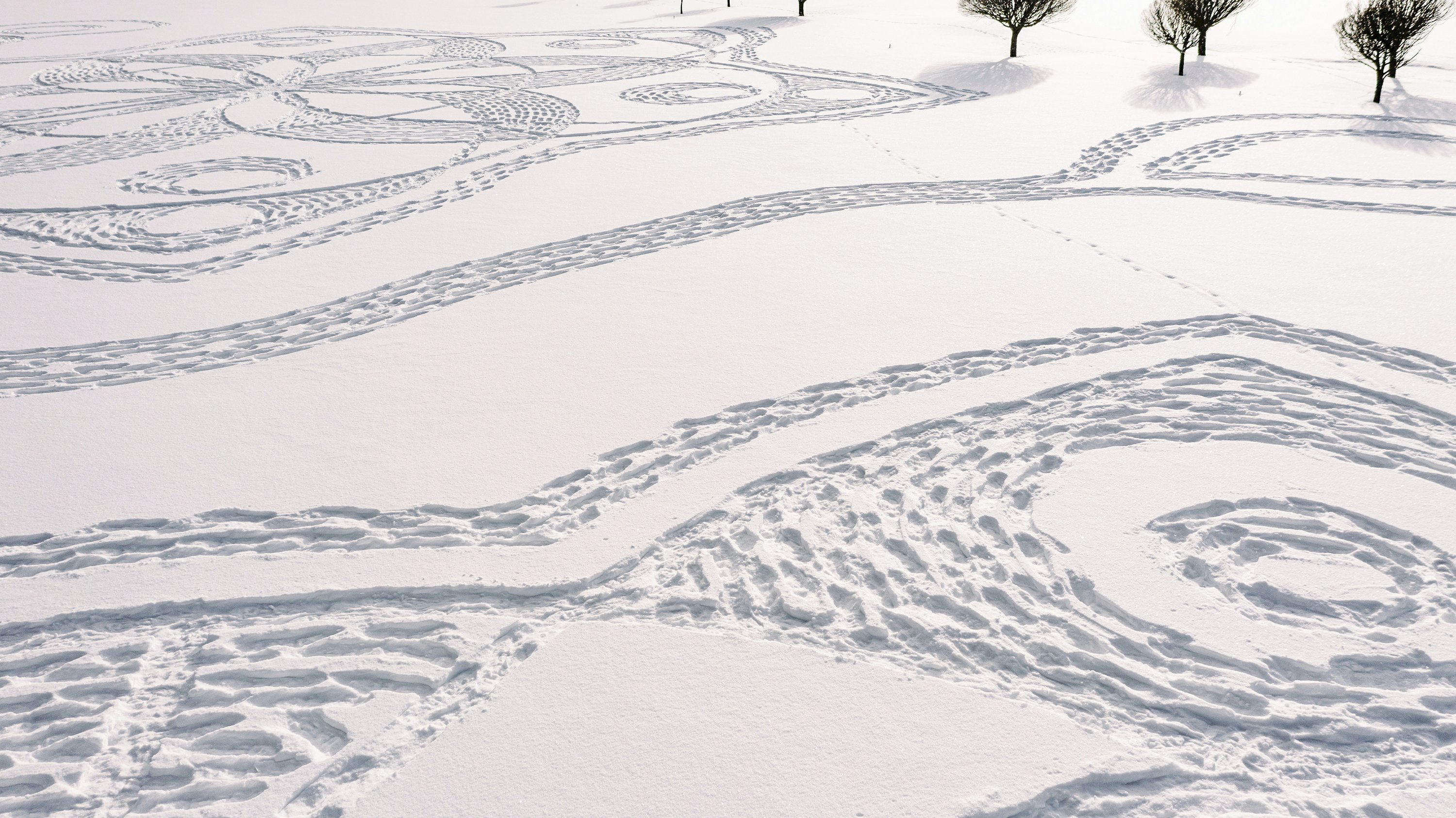 Fins in snowshoes create temporary works of art on the golf course