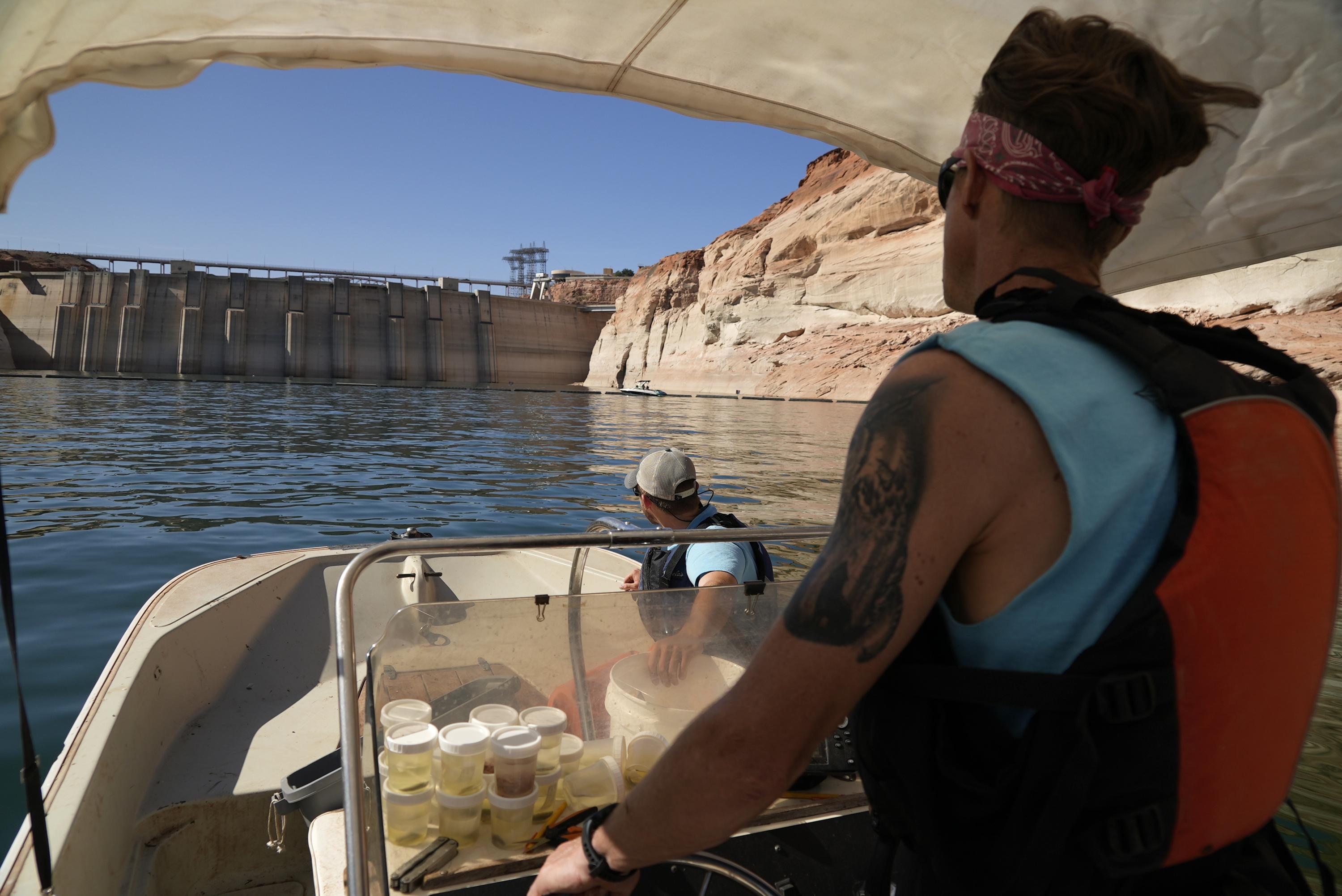 Officials impose new cuts to Colorado River water use in Arizona