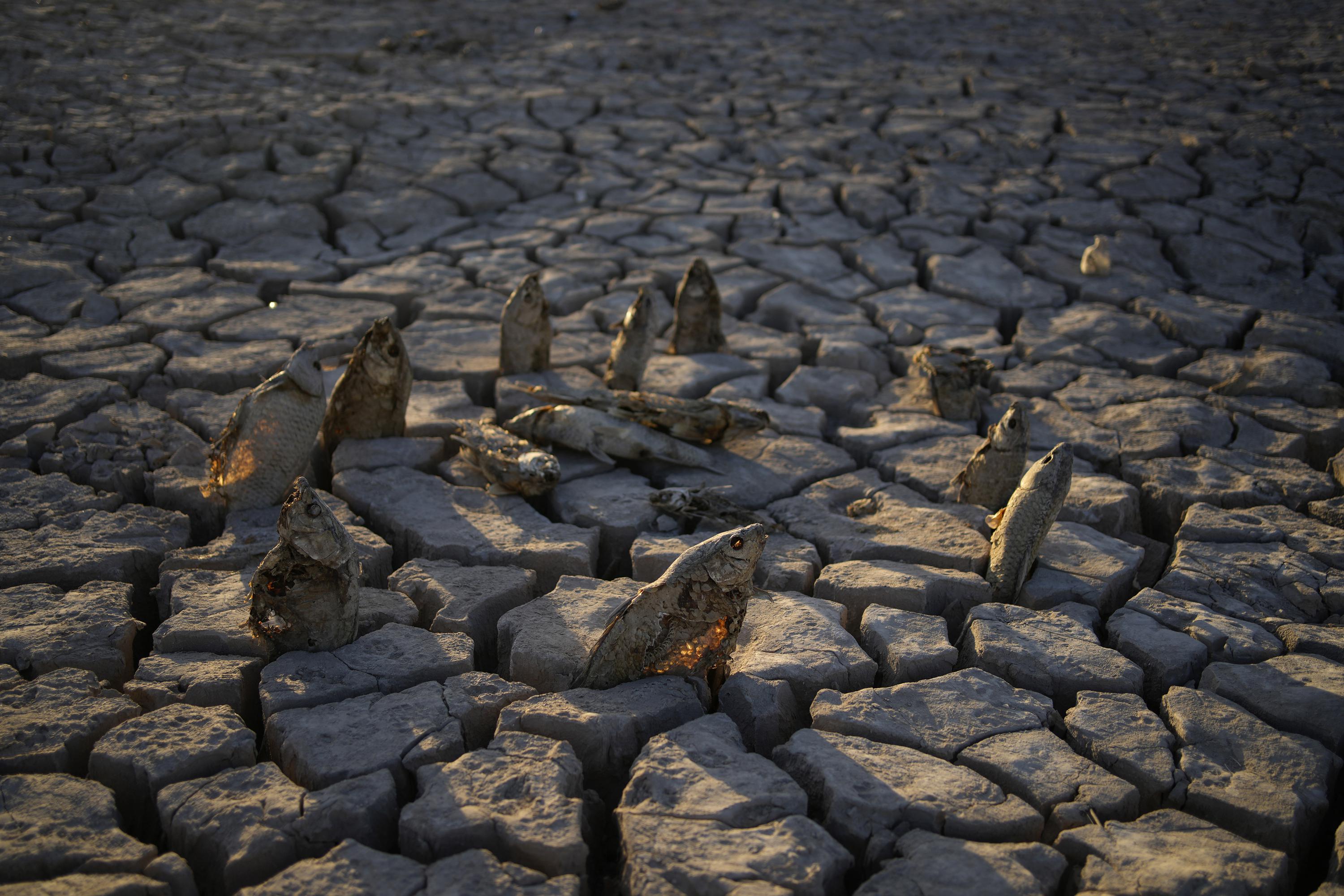 AP PHOTOS: Extremely low levels at Lake Mead amid drought | AP News