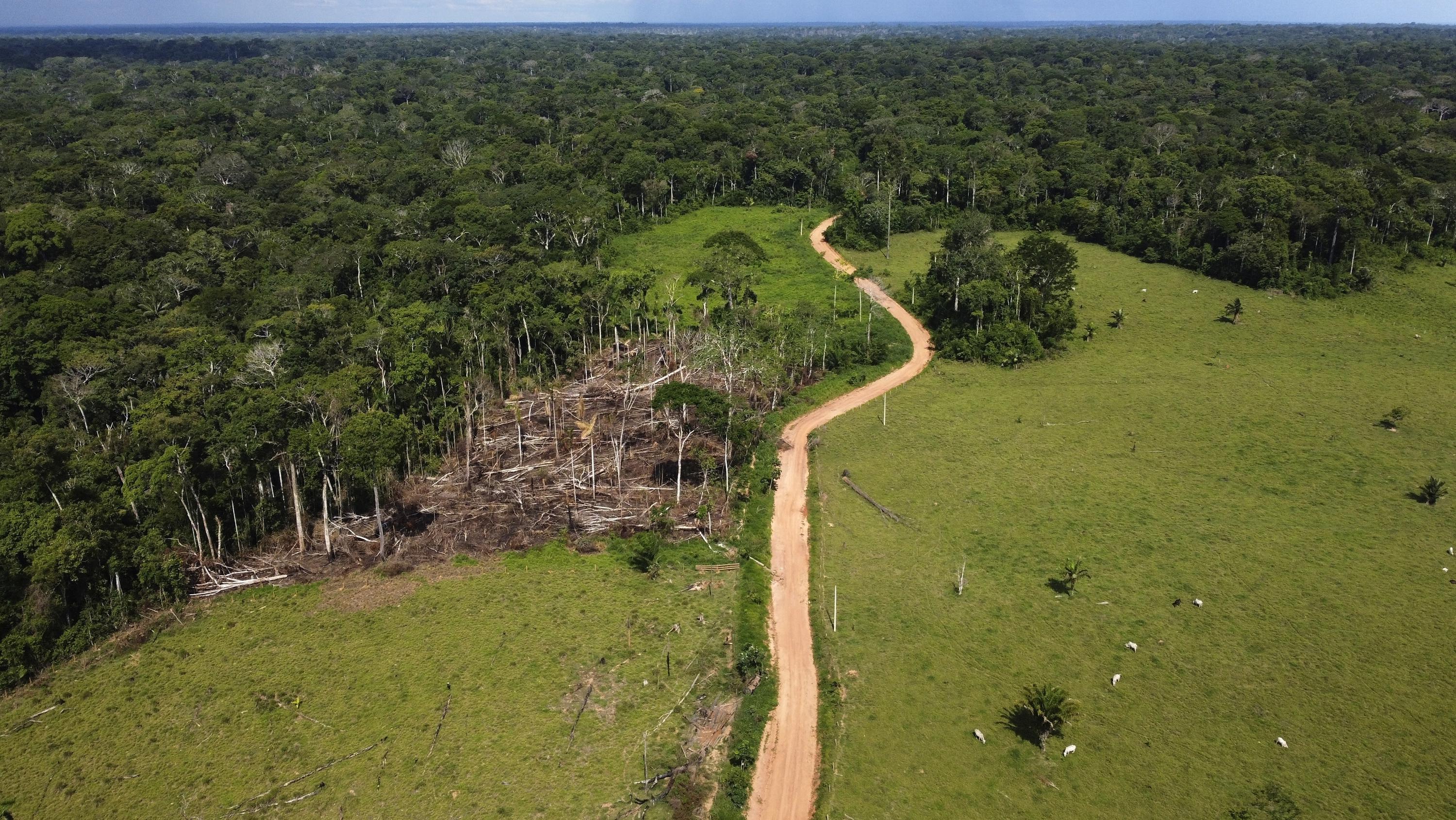 In Brazil's , carbon credit project halted over land dispute