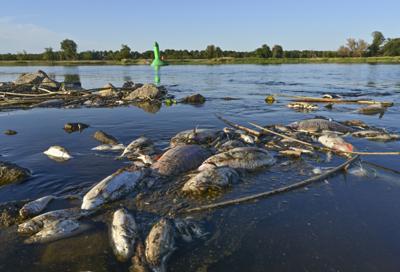 Poland: 'Huge' amounts of chemical waste dumped into river.