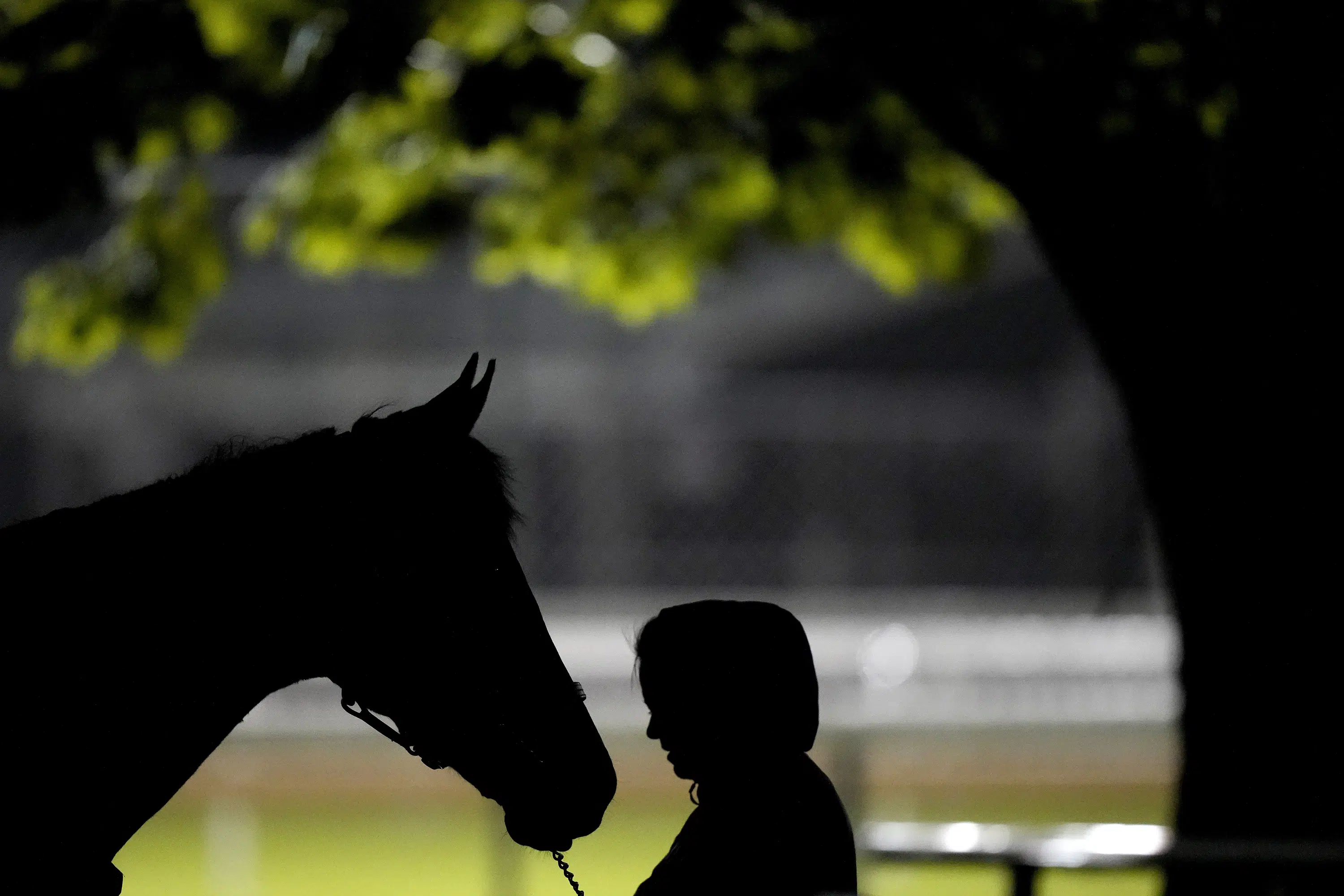 Churchill Downs investigates 4 horse deaths ahead of Derby The