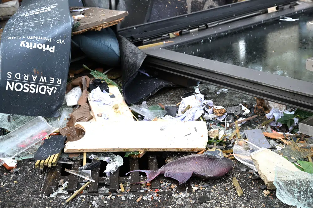 A fish lays in the debris in front of a hotel where an huge aquarium has burst in Berlin, Germany, Friday, Dec. 16, 2022. German police say a huge fish tank in the center of Berlin has burst, causing a wave of devastation in and around the Sea Life tourist attraction. (Soeren Stache/dpa via AP)