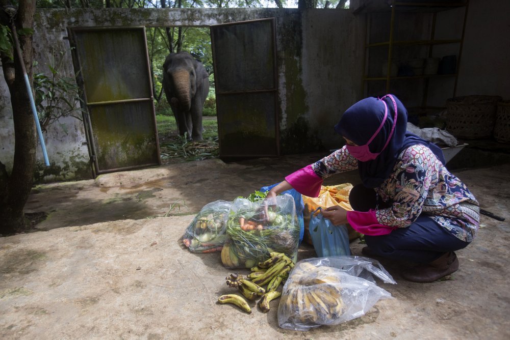 1000 Економічні новини