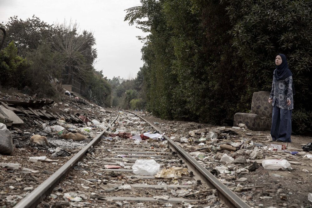 Carcasses of poisoned street dogs on the railway tracks outside Cairo. (AP Photo/Nariman El-Mofty)