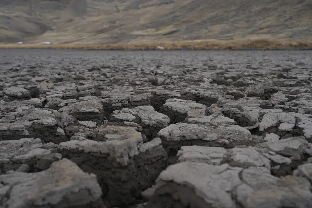 Una corteza seca en el lecho de la laguna de Cconchaccota en la región Apurimac de Perú, el viernes 25 de noviembre de 2022. Para los expertos climáticos, la laguna se terminó secando porque tenía menos de un metro de profundidad, dependía exclusivamente del agua de lluvia y estaba sometida a una fuerte radiación solar. (AP Foto/Guadalupe Pardo).