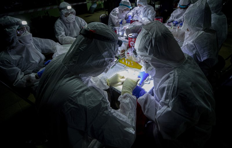 Ap Photos Thai Scientists Catch Bats To Trace Virus Origins