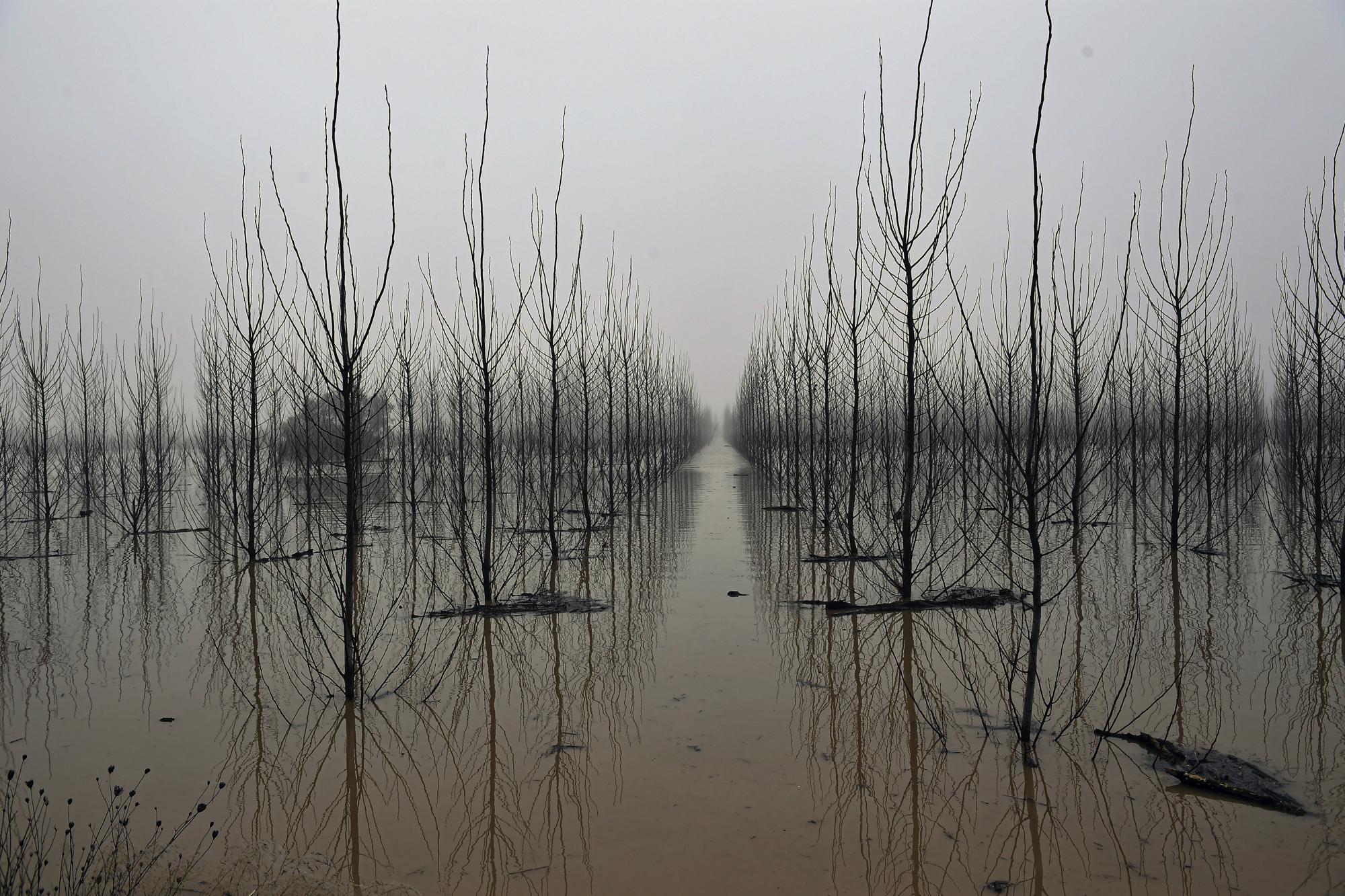 FIL E- Fog covers the landscape in a flooded area near the Ebro River in the small village of Alcala de Ebro, Aragon province, northern Spain, Dec. 13, 2021. The United Nations on Monday, Feb. 28, 2022, released a new report on climate change. (AP Photo/Alvaro Barrientos, File)