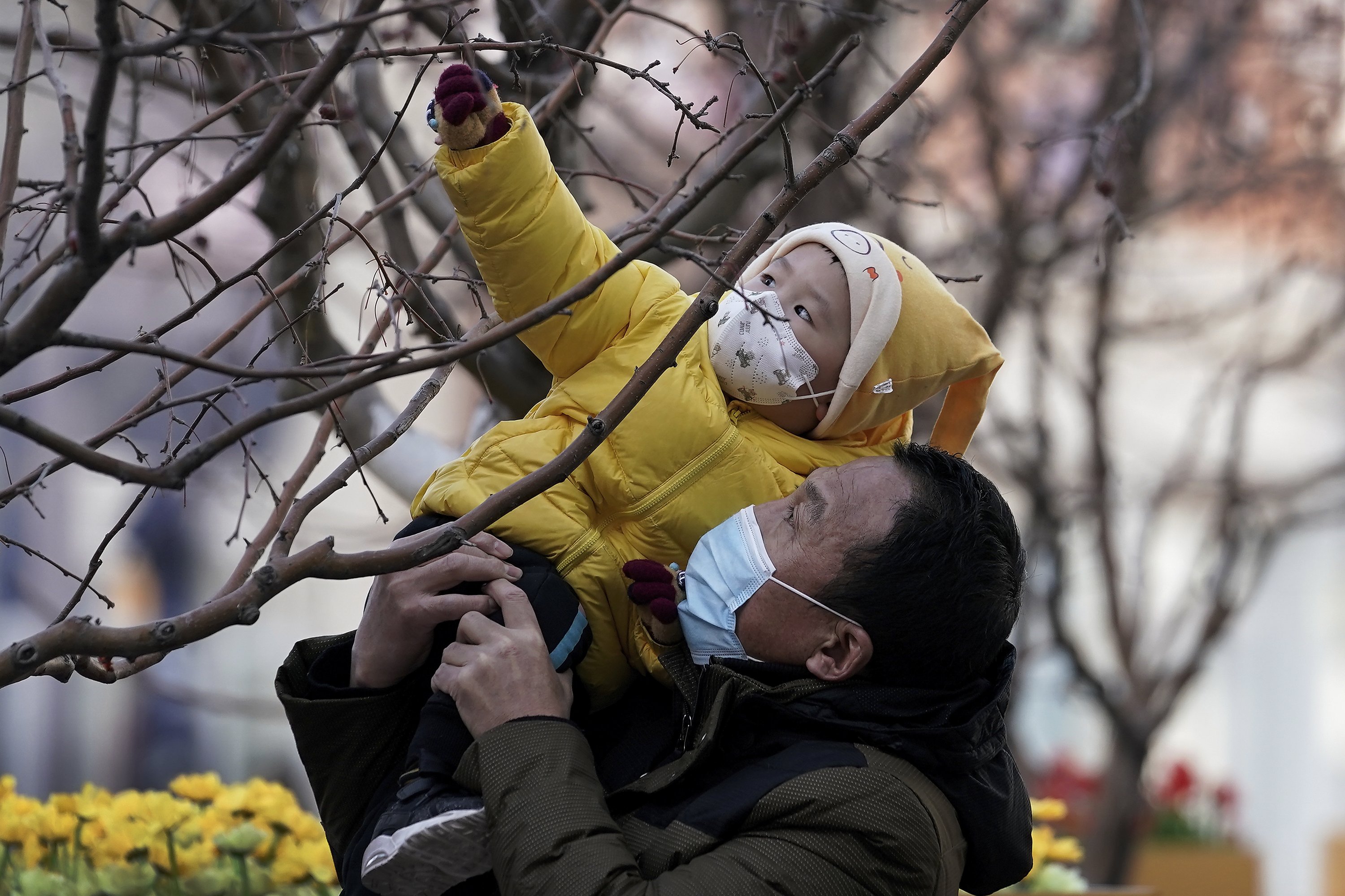 China grapples with virus outbreaks in northeast