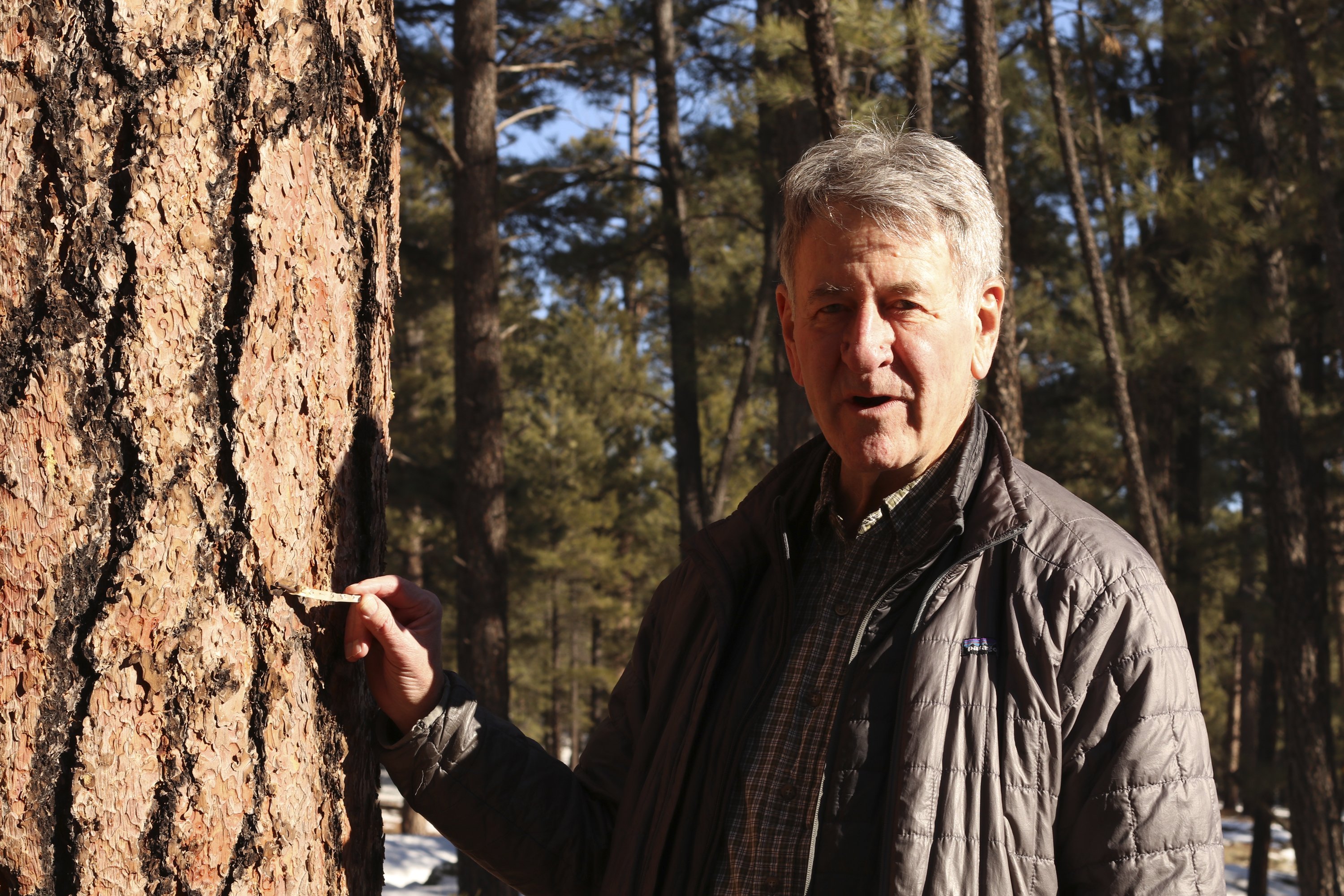 Forestry pioneer retires from Northern Arizona University - Associated Press