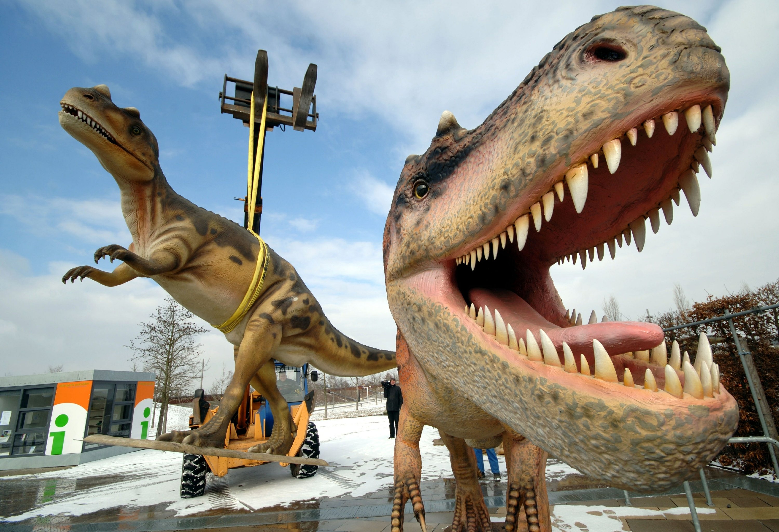 Total T. Rex Population During Species' Existence Was 2.5 Billion