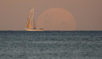 Un yate pasa frente a la Luna naciente en Sydney, Australia, miércoles 26 de mayo de 2021. En las próximas horas habrá un eclipse lunar total combinado con una superluna, un acercamiento de la Luna a la Tierra. (AP Foto/Mark Baker)