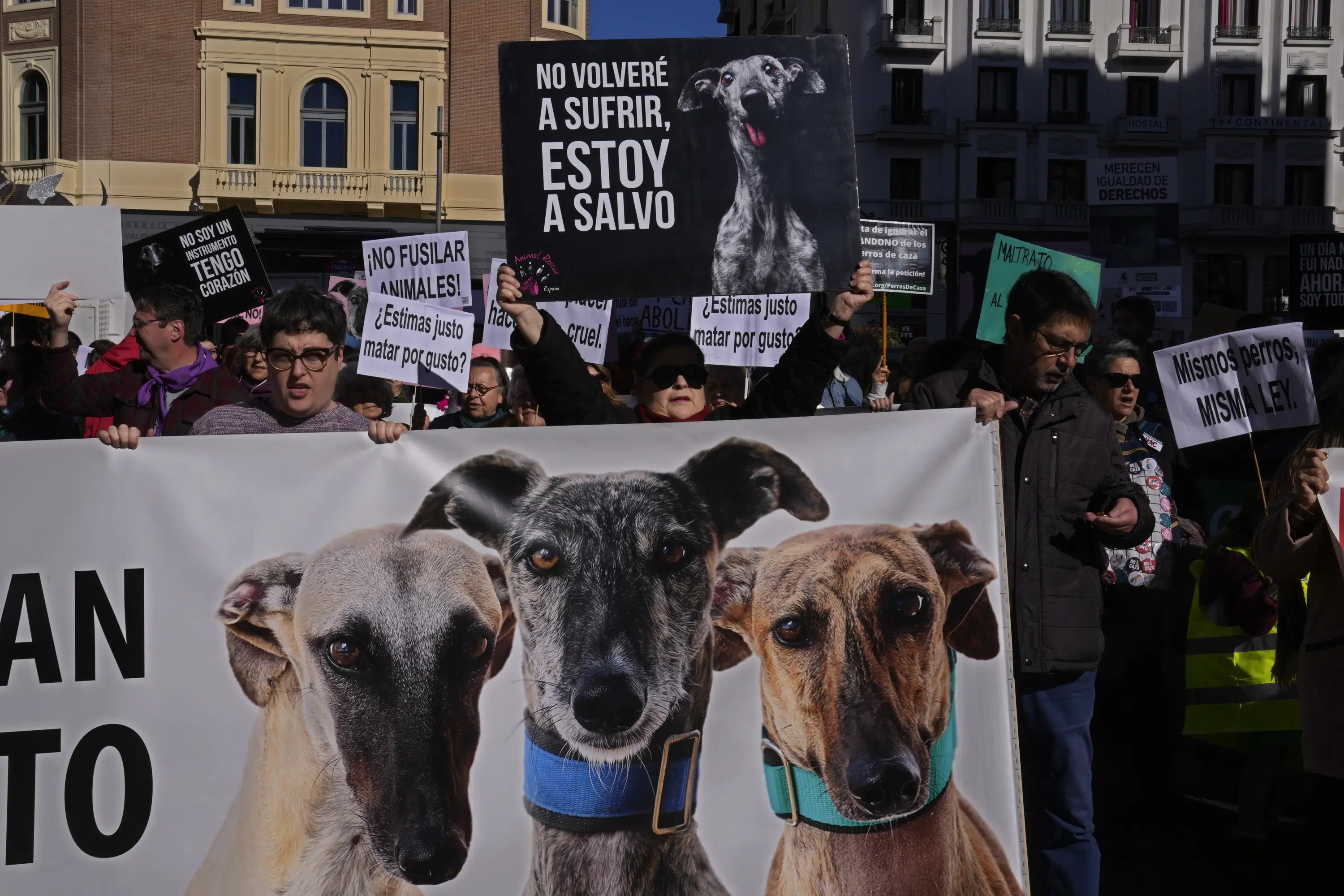 Spain: Rights groups urge more protection for hunting dogs | AP News