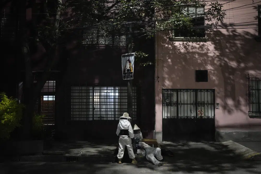 Adriana Veliz y miembros de su grupo Abeja Negra SOS, vestidos con trajes especiales para protegerse de picaduras, rescatan una colmena que las abejas formaron dentro de la base de un poste de luz en la Ciudad de México, el jueves 8 de junio de 2023. (AP Foto/Eduardo Verdugo)