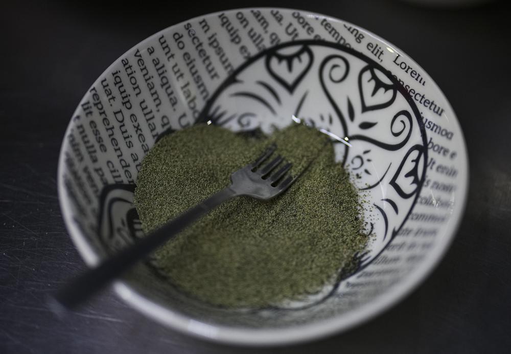 Un cuenco de ahuautle se ve listo para su preparación en un plato prehispánico en un restaurante de  Iztapalapa, cerca de Ciudad de México, el miércoles 14 de septiembre de 2022. El “ahuautle” también corre el riesgo de convertirse en un plato gourmet: un kilogramo de huevos puede venderse por alrededor de 50 dólares. (AP Foto/Fernando Llano)