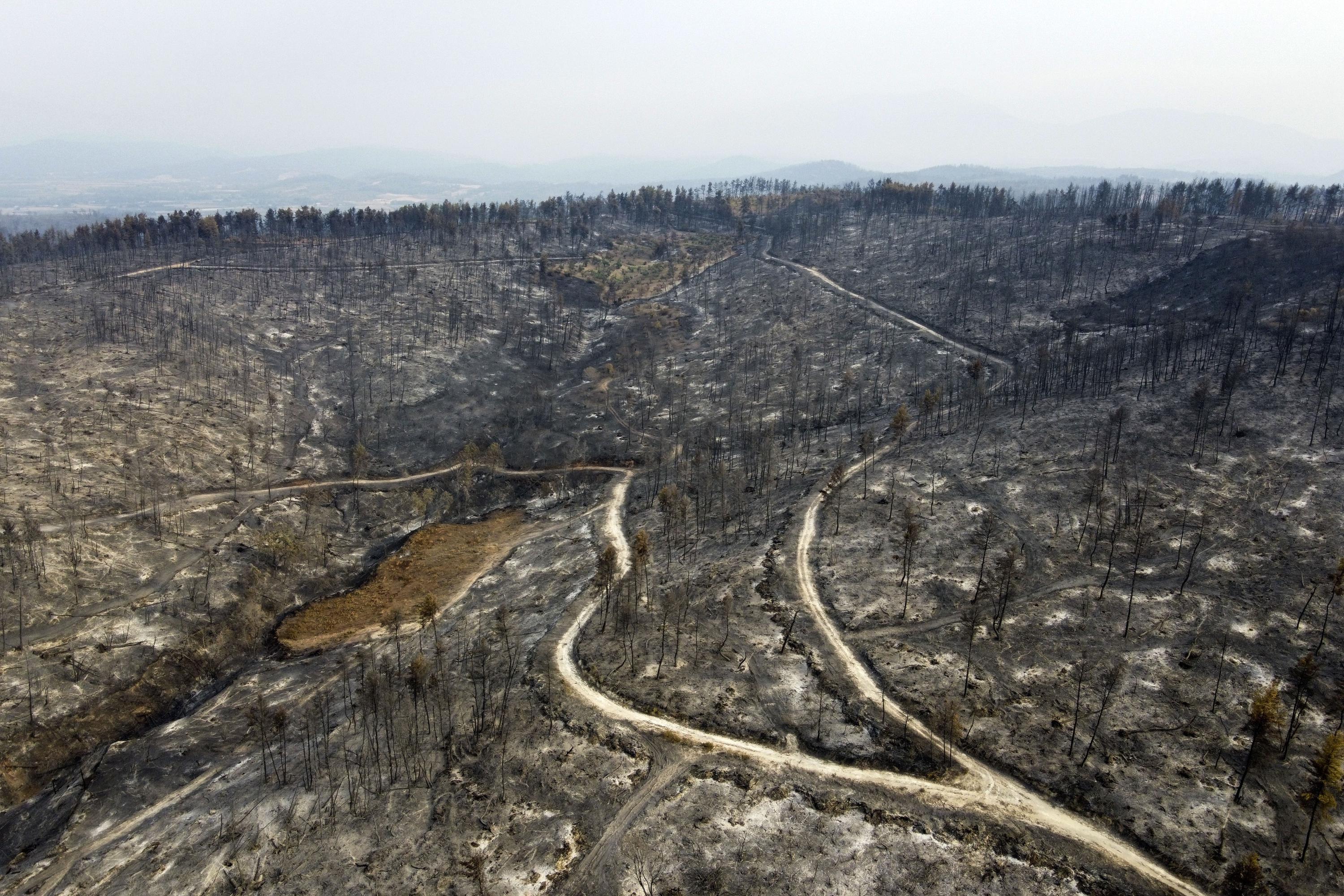 Il Primo Ministro afferma che gli incendi in Grecia sono un grave disastro ambientale