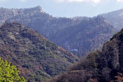 ARCHIVO - En esta fotografía del 22 de abril de 2021 proporcionada por el Servicio de Parques Nacionales de Estados Unidos se muestra un árbol que saca humo en el Parque Nacional de las Secuoyas, en California. (Tony Caprio/Servicio de Parques Nacionales vía AP, Archivo)