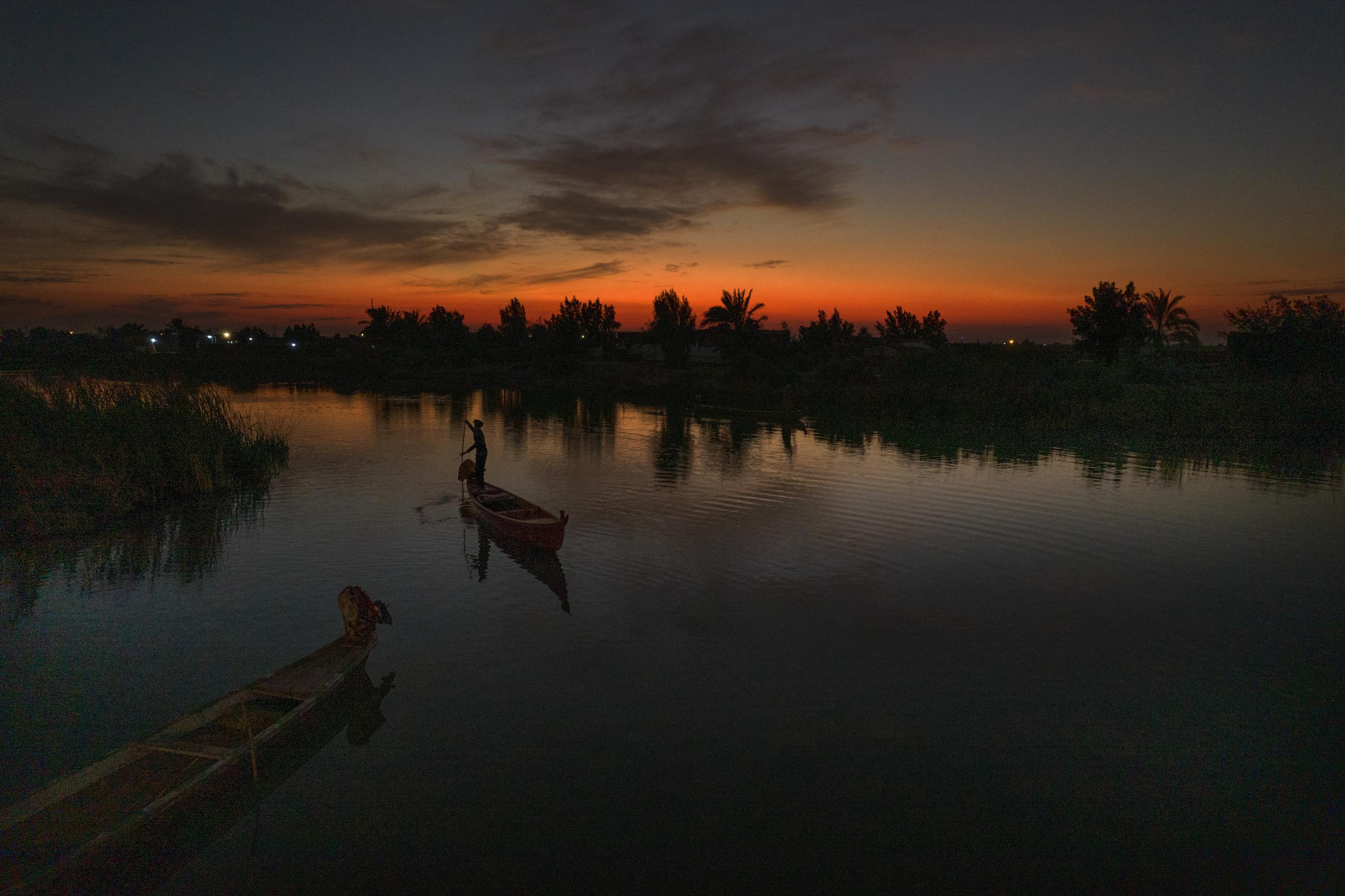 Salt, drought decimate buffaloes in Iraq’s southern marshes