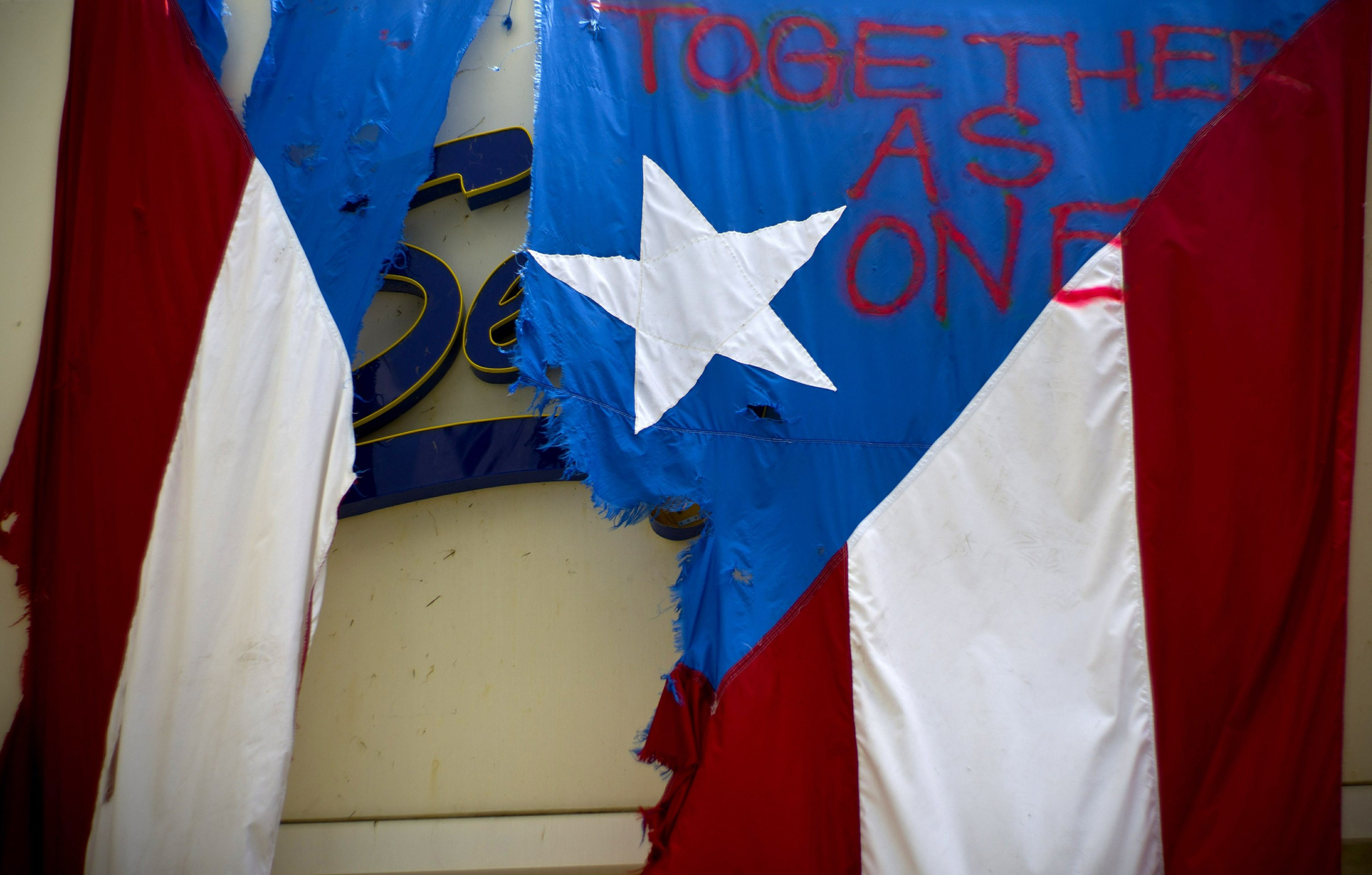 Puerto Rican Puss
