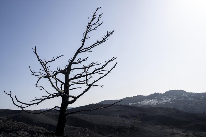 Deadly wildfires across the Mediterranean destroy homes, threaten