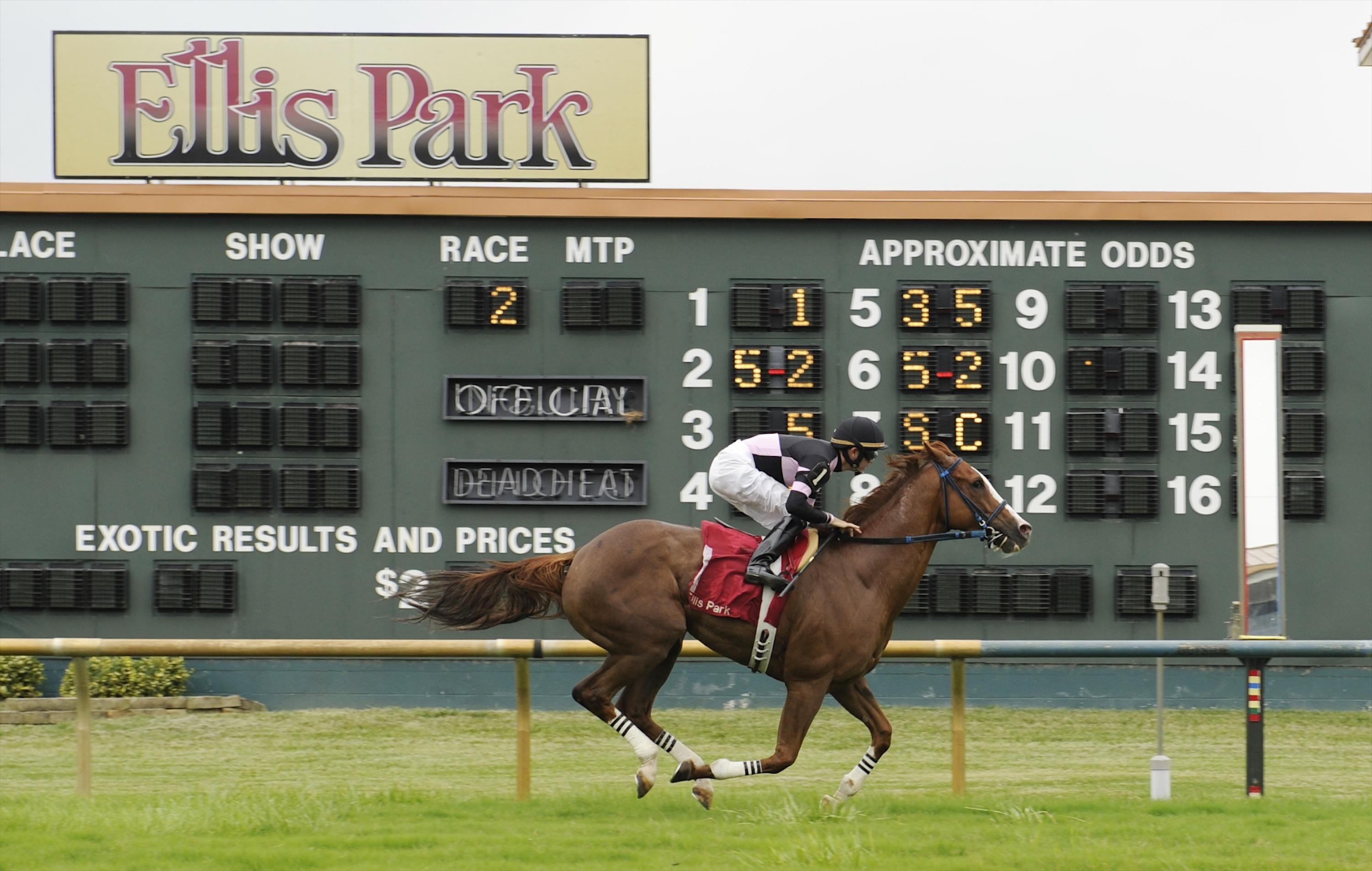 Churchill Downs Inc. agrees to buy Ellis Park in cash deal AP News