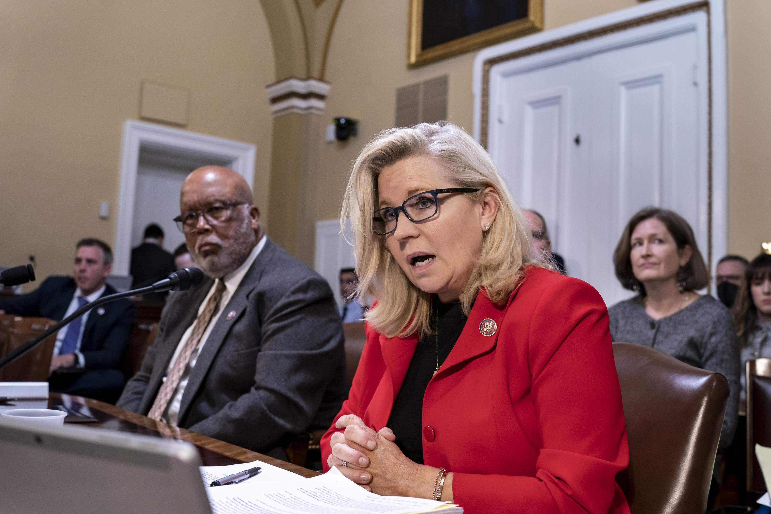 liz Cheney Net Worth: Is liz cheney married? – The Tough Tackle