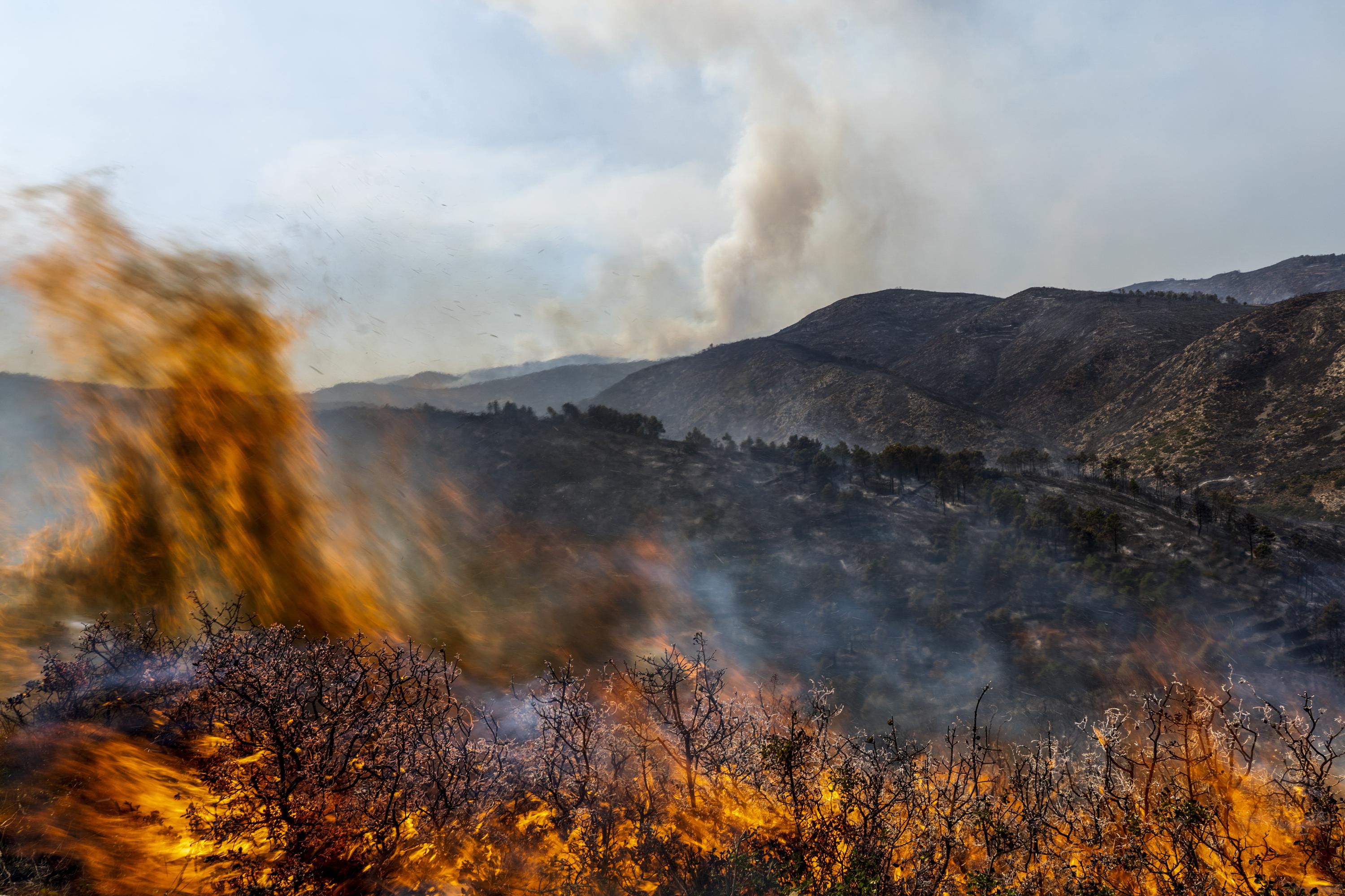 Ventos provocam grande incêndio florestal na Espanha;  Portugal está em alerta