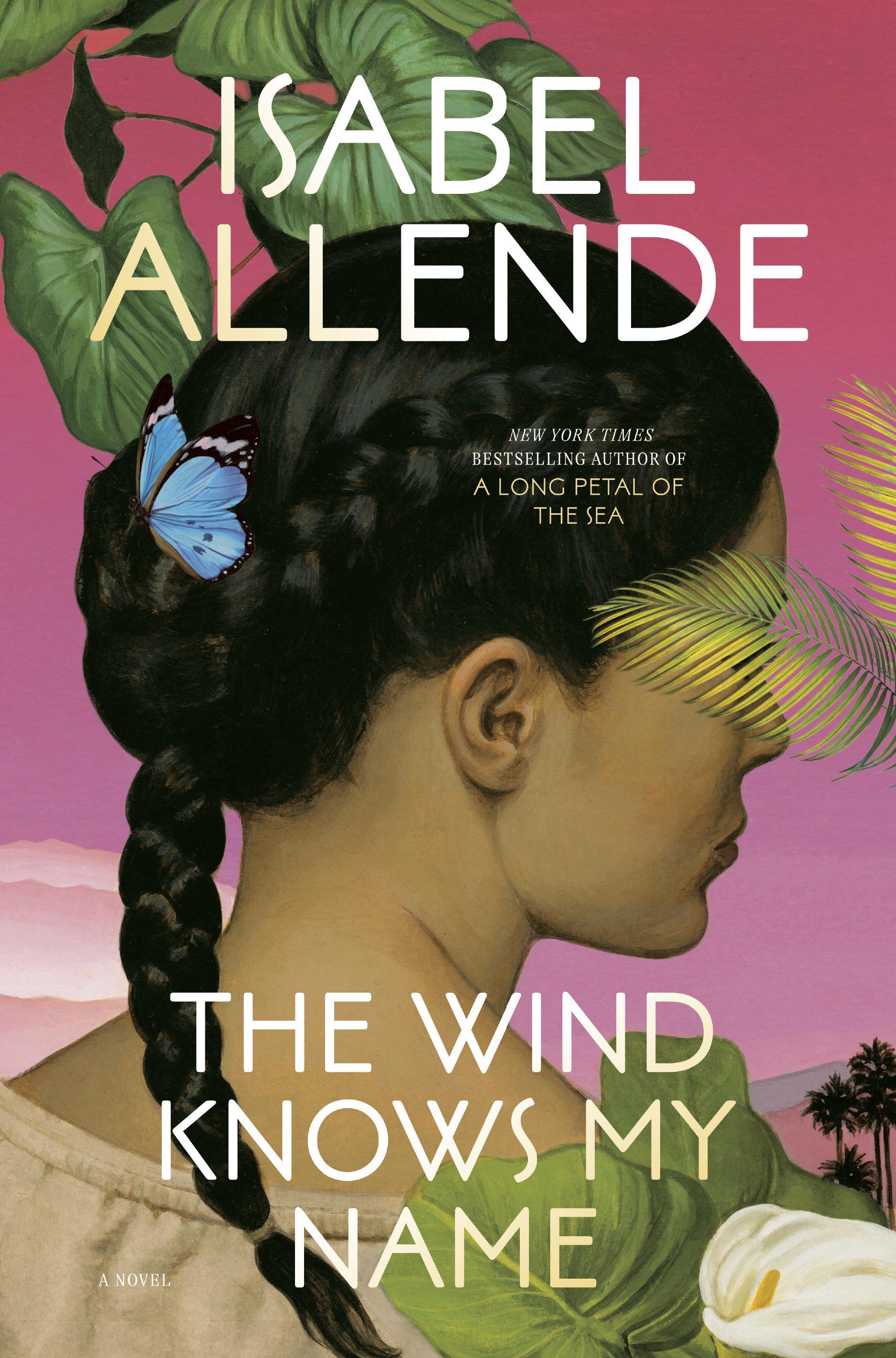 Book Review: Isabel Allende's 'The Wind Knows My Name' explores lives of 2  children adrift alone