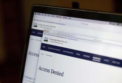 Una computadora muestra una página del Departamento de Agricultura de Estados Unidos con las palabras "Access Denied" (Acceso denegado) el martes 17 de agosto de 2021, en Washington. Múltiples agencias federales de Estados Unidos que operaron en Afganistán y trabajaron con ciudadanos afganos están depurando apresuradamente sus páginas web, eliminando artículos y fotos que podrían poner en peligro a esos civiles y que ahora temen sufrir represalias de los talibanes. (AP Foto/Jenny Kane)