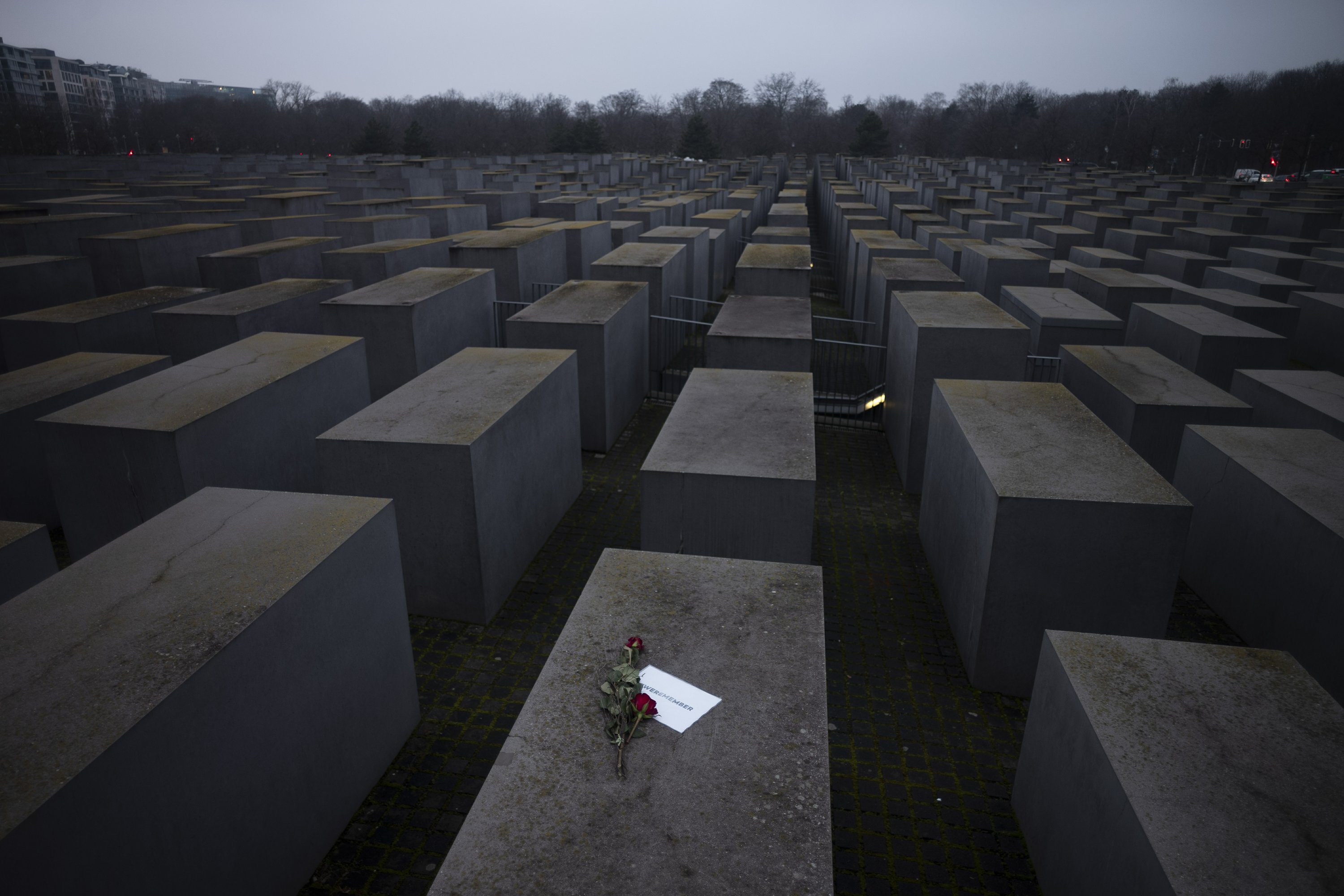 Auschwitz survivors mark online anniversary of pandemic