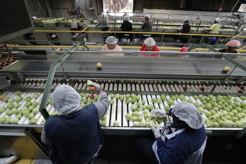 FILE - In this Feb. 5, 2020, file photo workers sort through tomatoes after they are washed before being inspected and packed, in Florida City, Fla., The surging cost of energy pushed wholesale prices up a record 11.2% last month from a year earlier — another sign that inflationary pressure is widespread in the U.S. economy. The Labor Department said Wednesday, April 13, 2022 that its producer price index — which measures inflation before it reaches consumers — climbed at the fastest year-over-year pace in records going back to 2010 and rose 1.4% from February. Energy prices, which soared after Russia’s Feb. 24 invasion of Ukraine, were up 36.7% from March 2021.. (AP Photo/Wilfredo Lee, File)