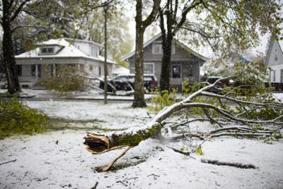 Una rama de un árbol yace sobre una avenida de Portland, Oregon. (Dave Killen/The Oregonian via AP)