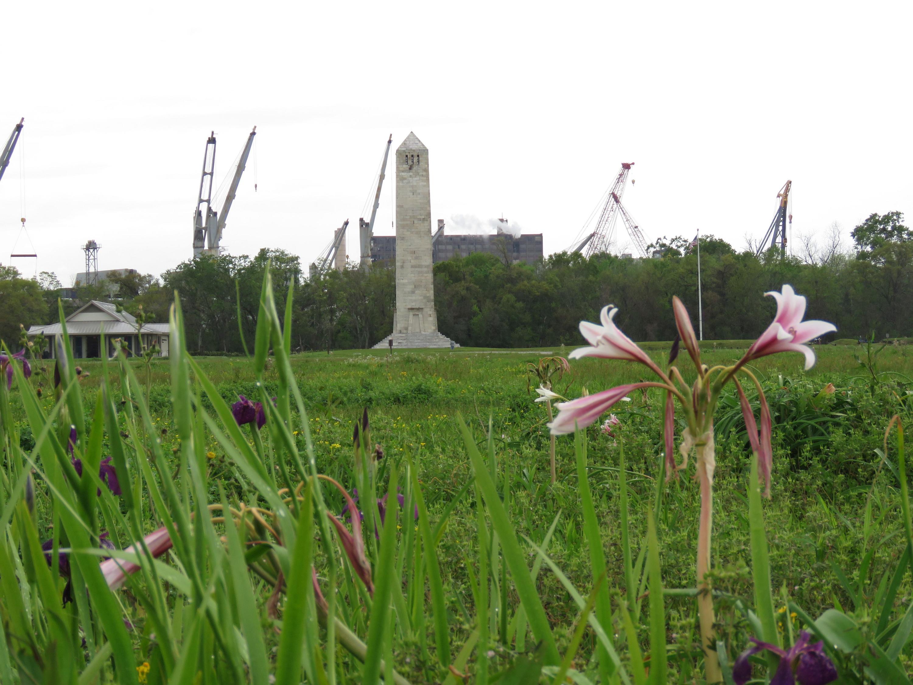 Battle of New Orleans - 64 Parishes