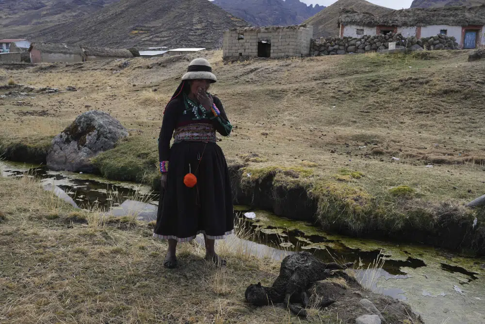 Una mujer se para cerca de un manantial junto a una oveja muerta en la comunidad de Cconchaccota en la región de Apurímac en Perú, el viernes 25 de noviembre de 2022. (AP Foto/Guadalupe Pardo)