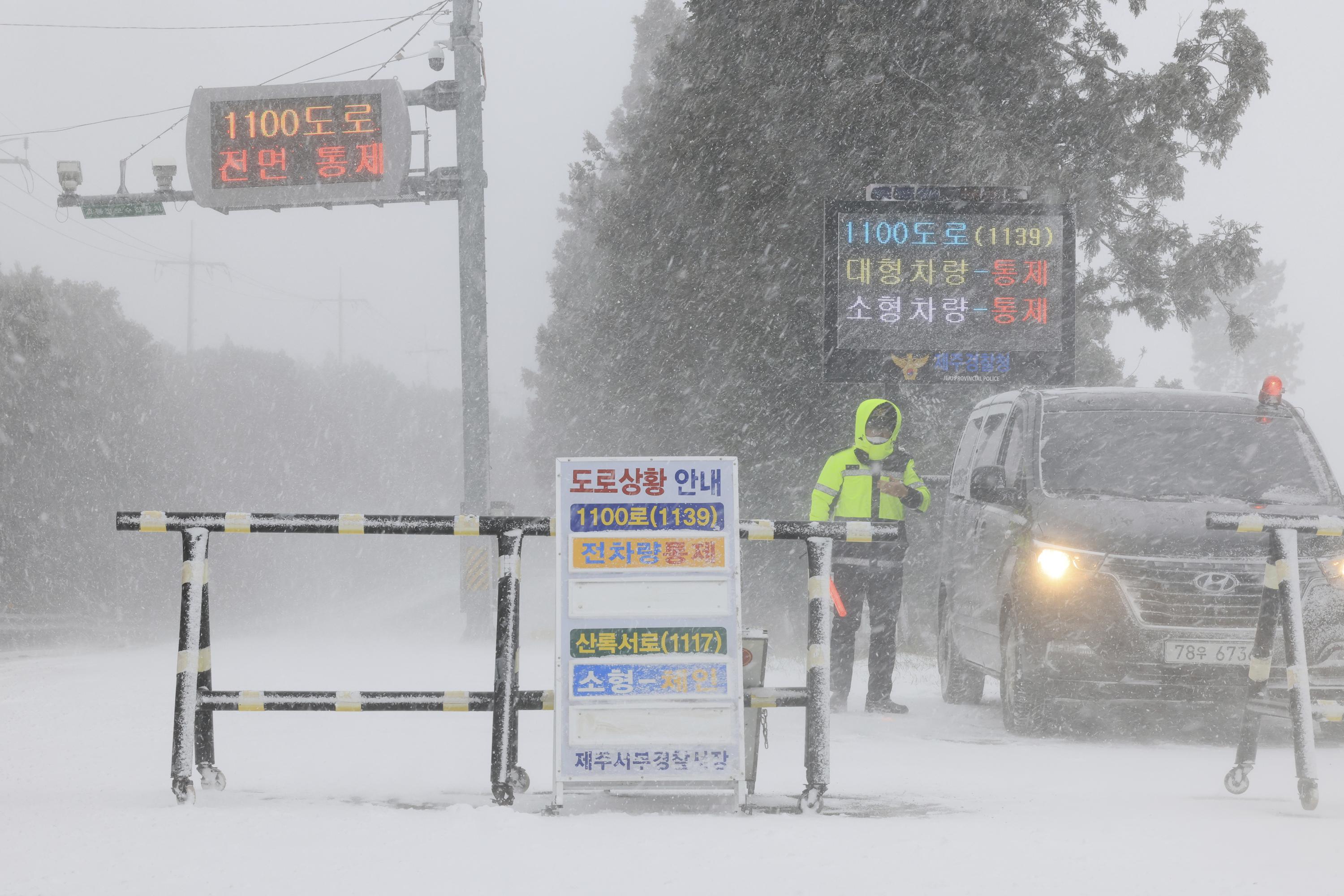 Snowstorm in Tokyo disrupts road, rail and air transport