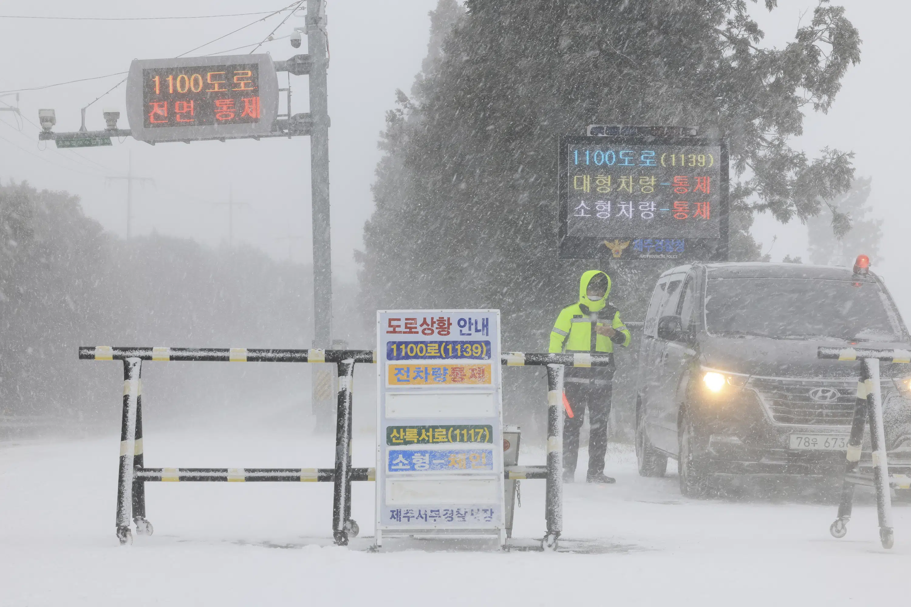 Jeju South Korea Weather 10 Day Forecast 2025 Gene Peggie
